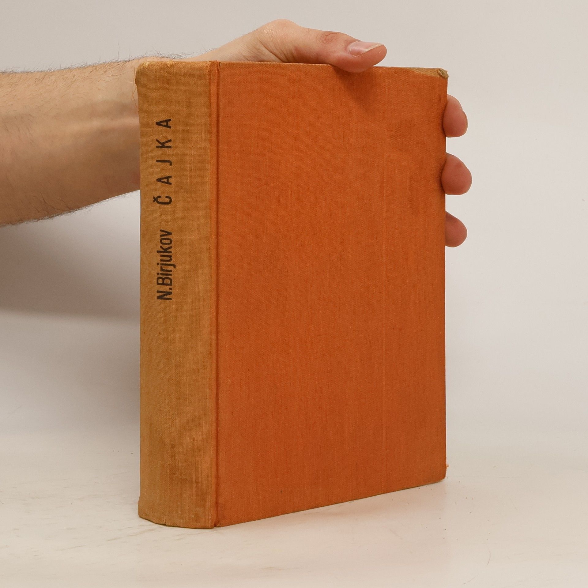 Nikolaj Zotovič Birjukov Čajka