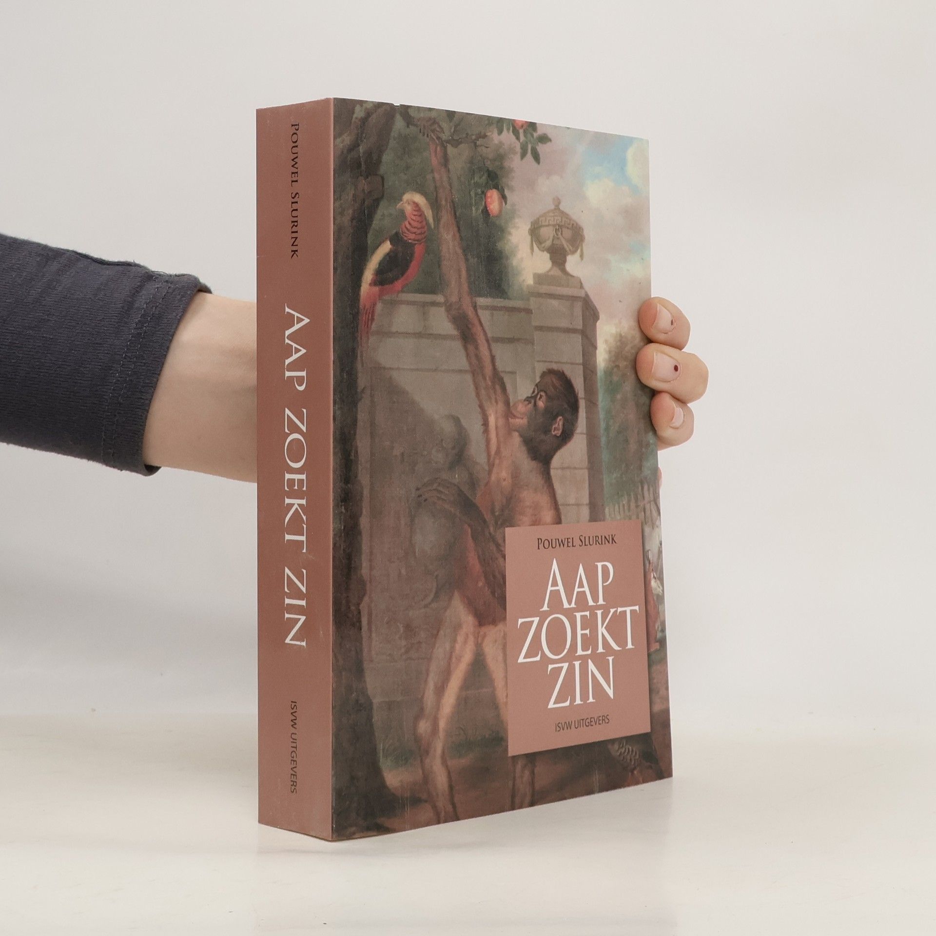 Pouwel Slurink Aap zoekt zin