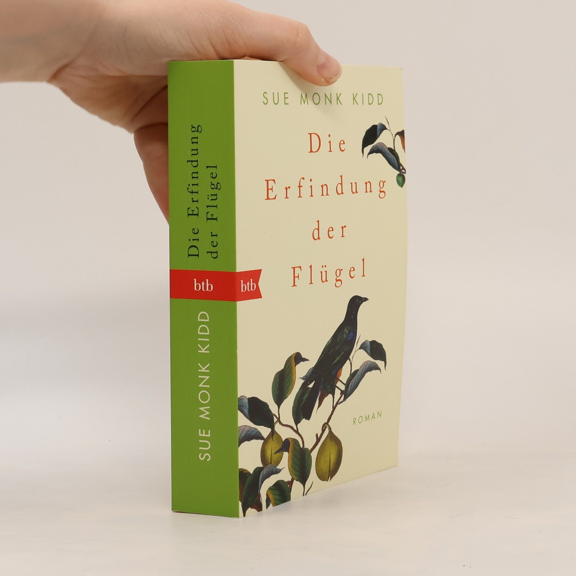 Sue Monk Kidd Die Erfindung der Flügel