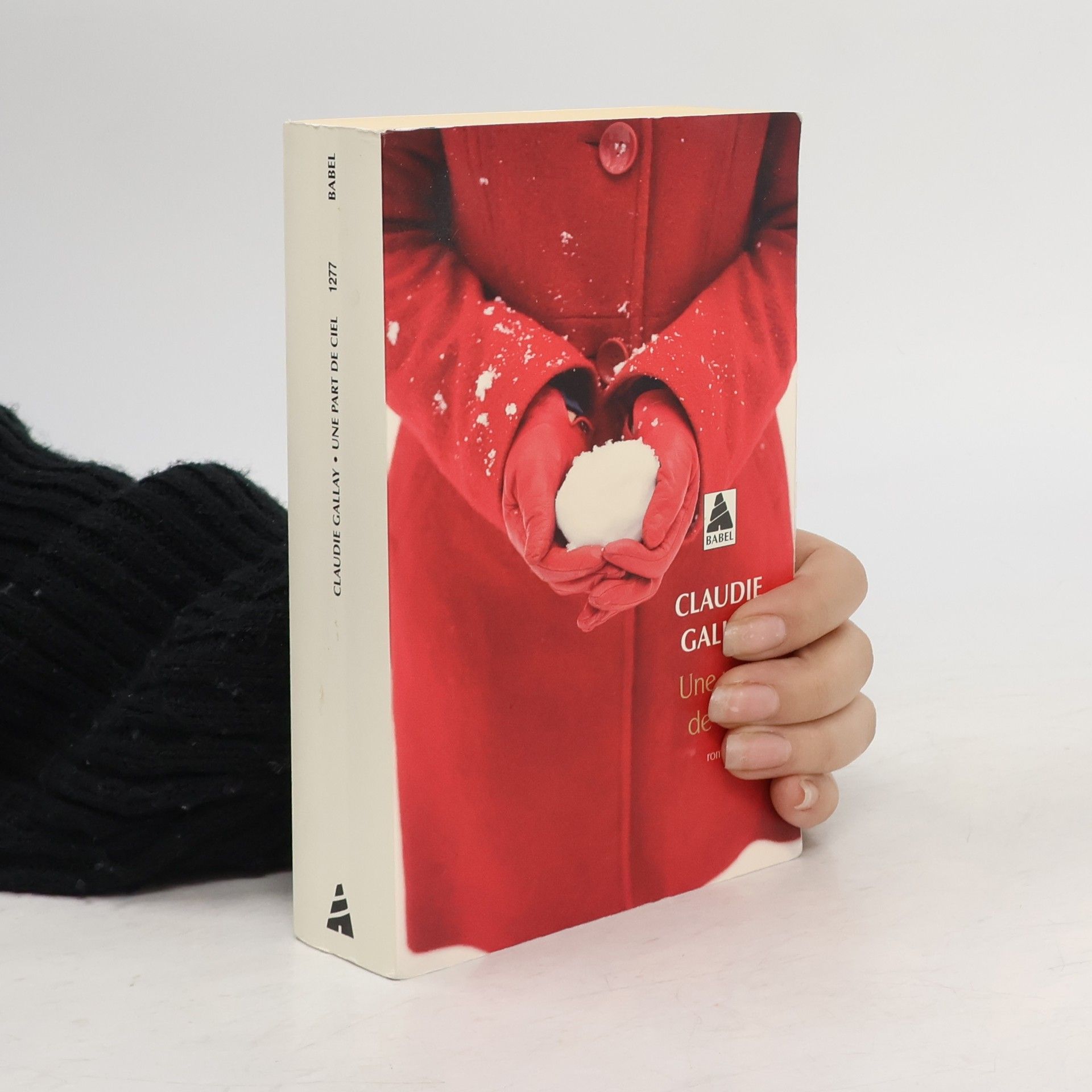 Claudie Gallay Une part de ciel