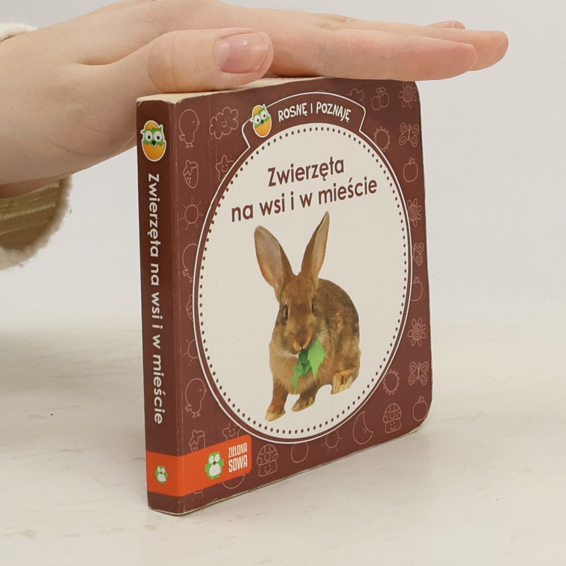 Kolektiv autorů Rosnę i poznaję Zwierzęta na wsi i w mieście