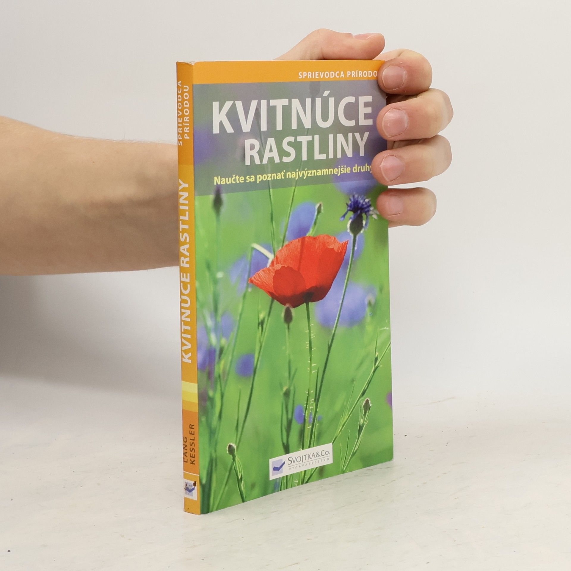 Angelika Lang Kvitnúce rastliny