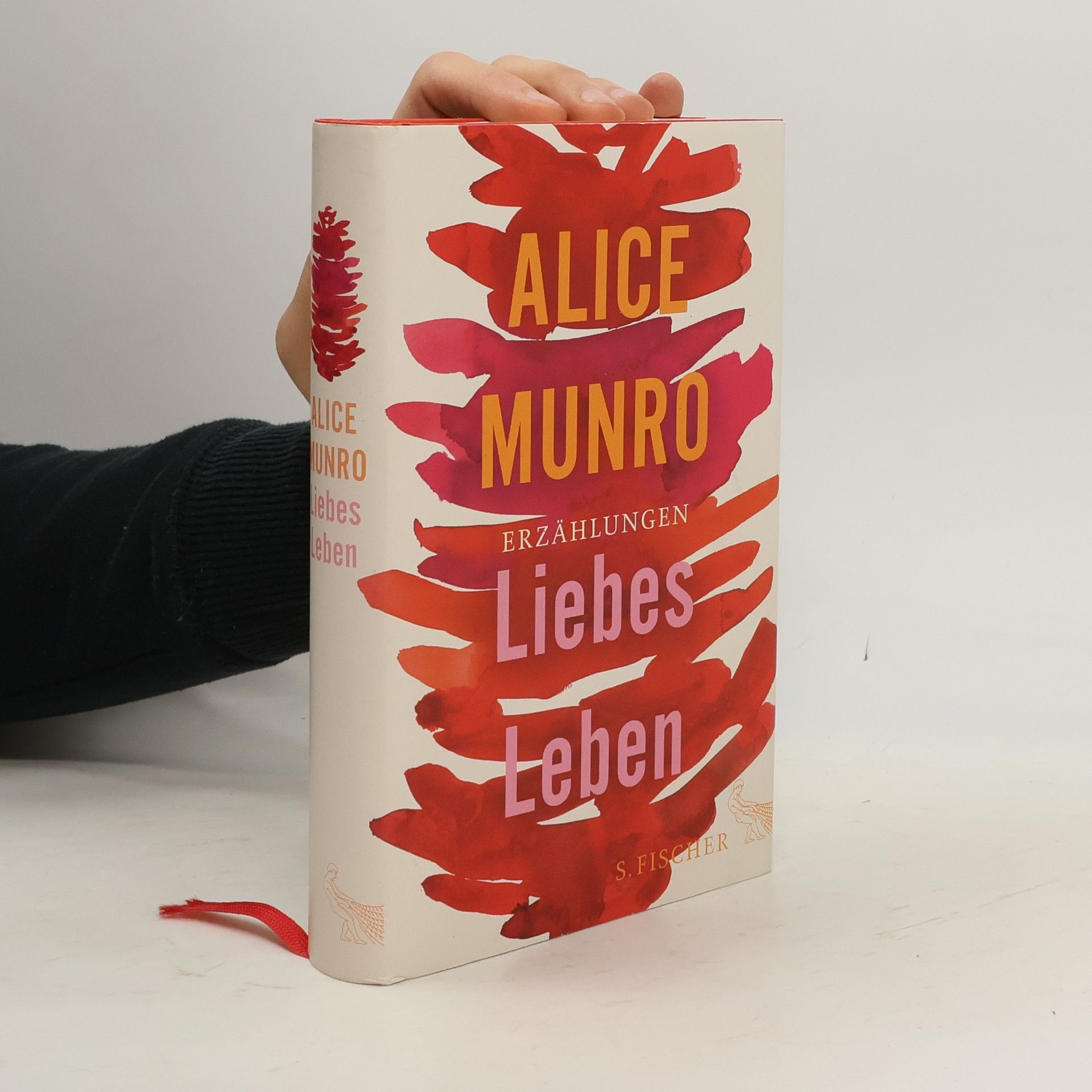 Alice Munro Liebes Leben