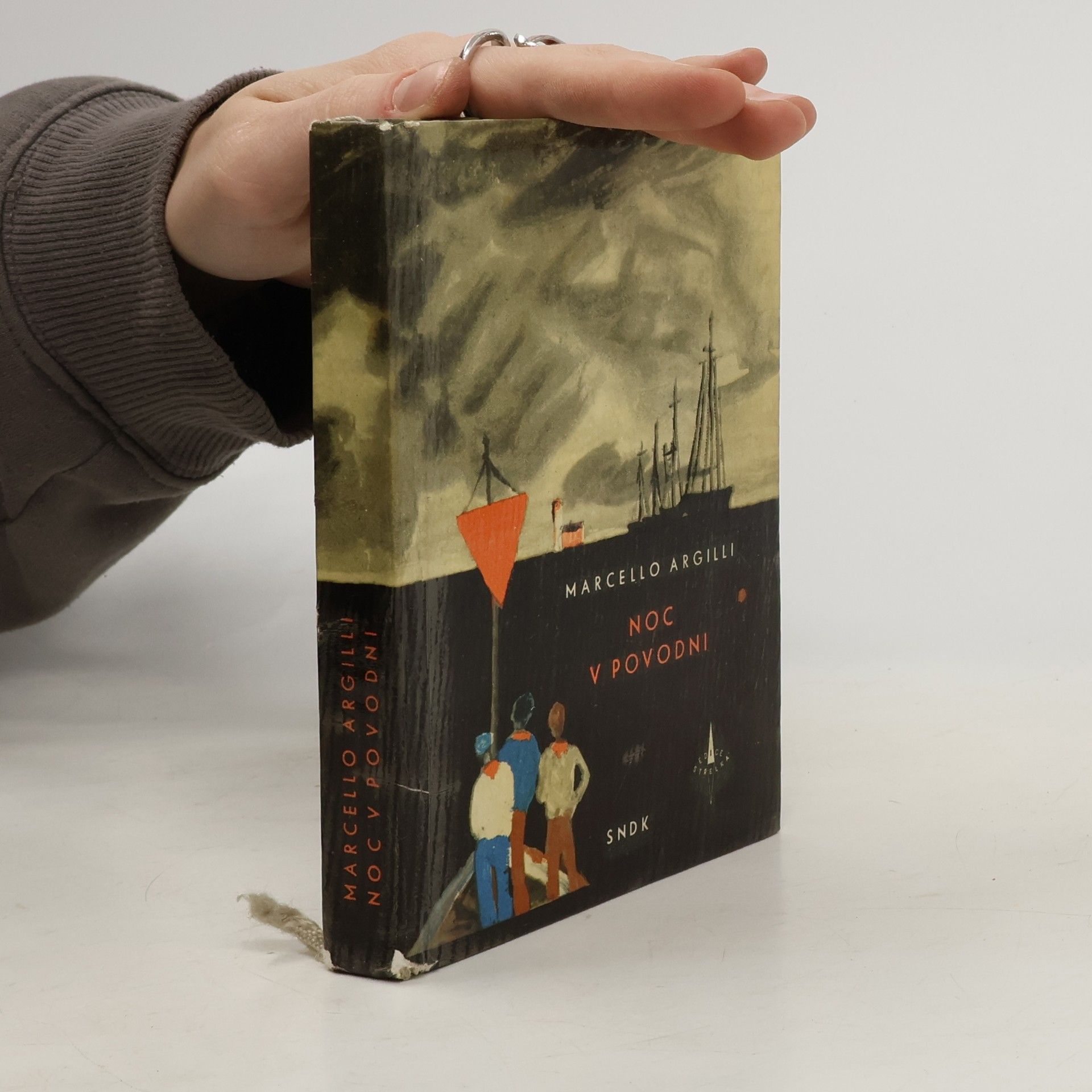 Marcello Argilli Noc v povodni