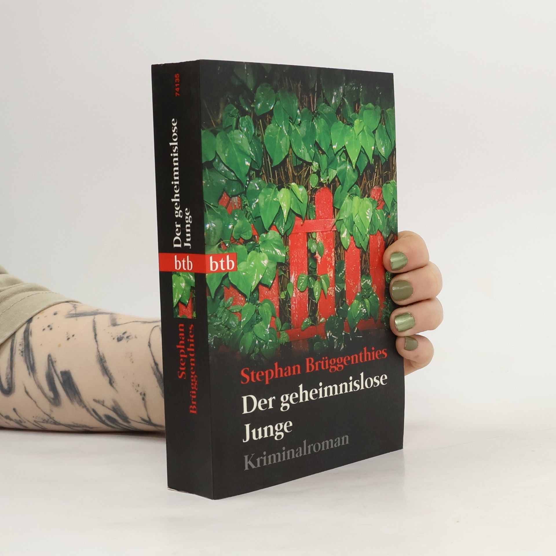 Stephan Brüggenthies Der geheimnislose Junge