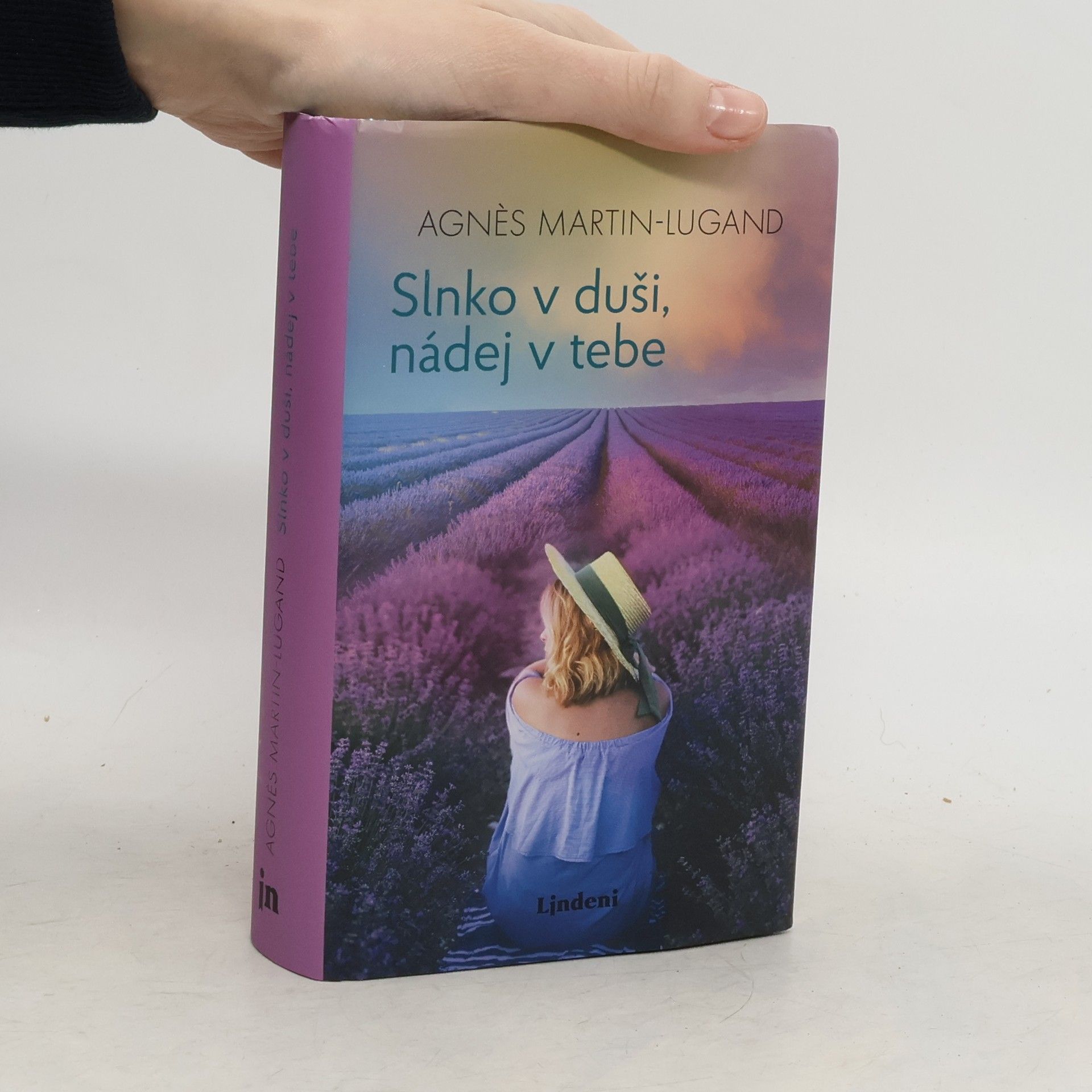 Agnès Martin-Lugand Slnko v duši