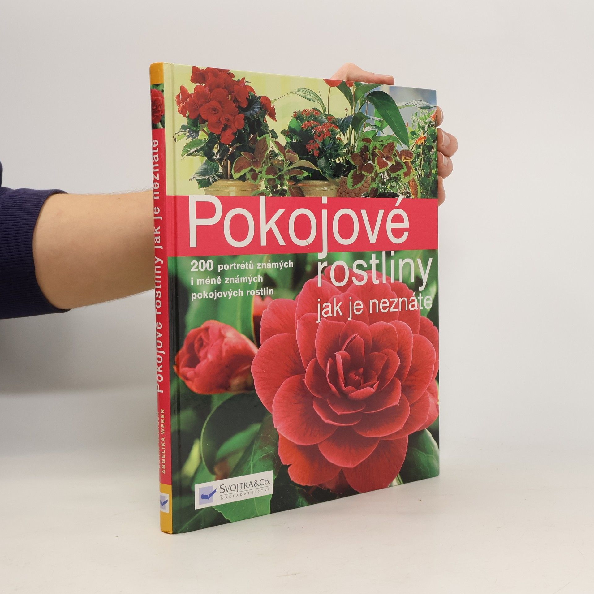 Pokojové rostliny jak je neznáte