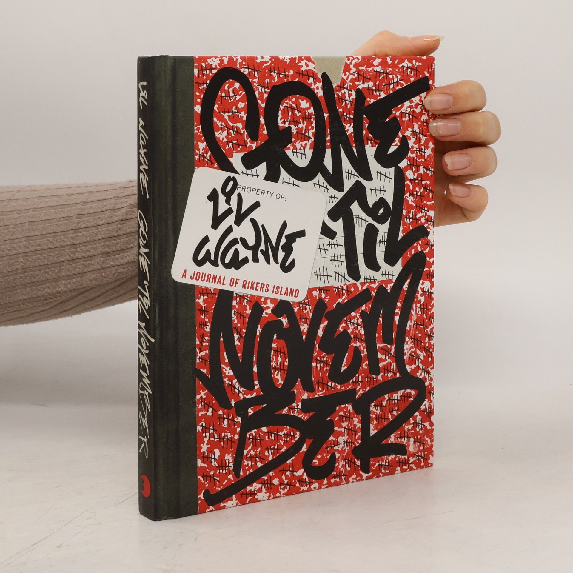 Lil Wayne Gone 'Til November