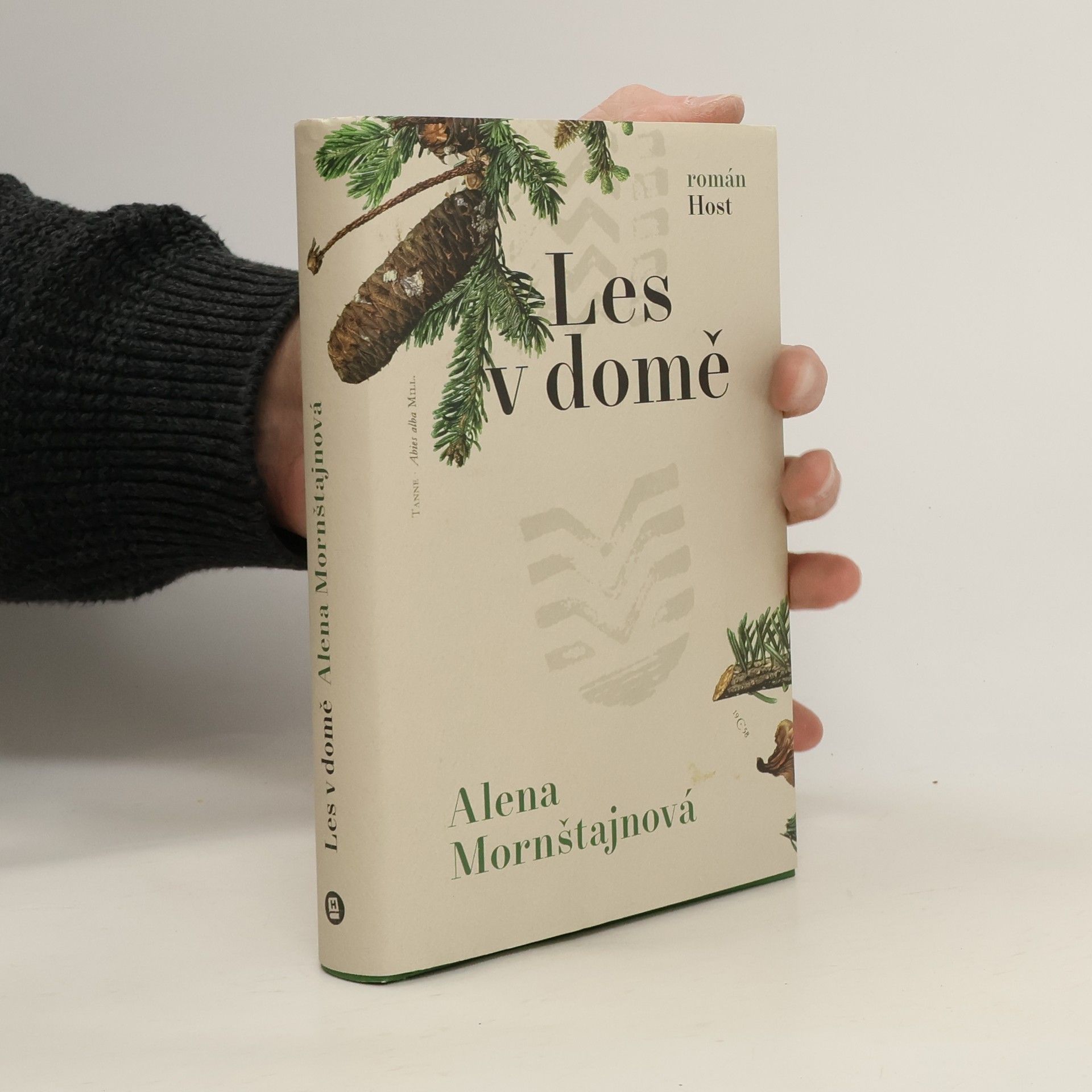 Alena Mornštajnová Les v domě