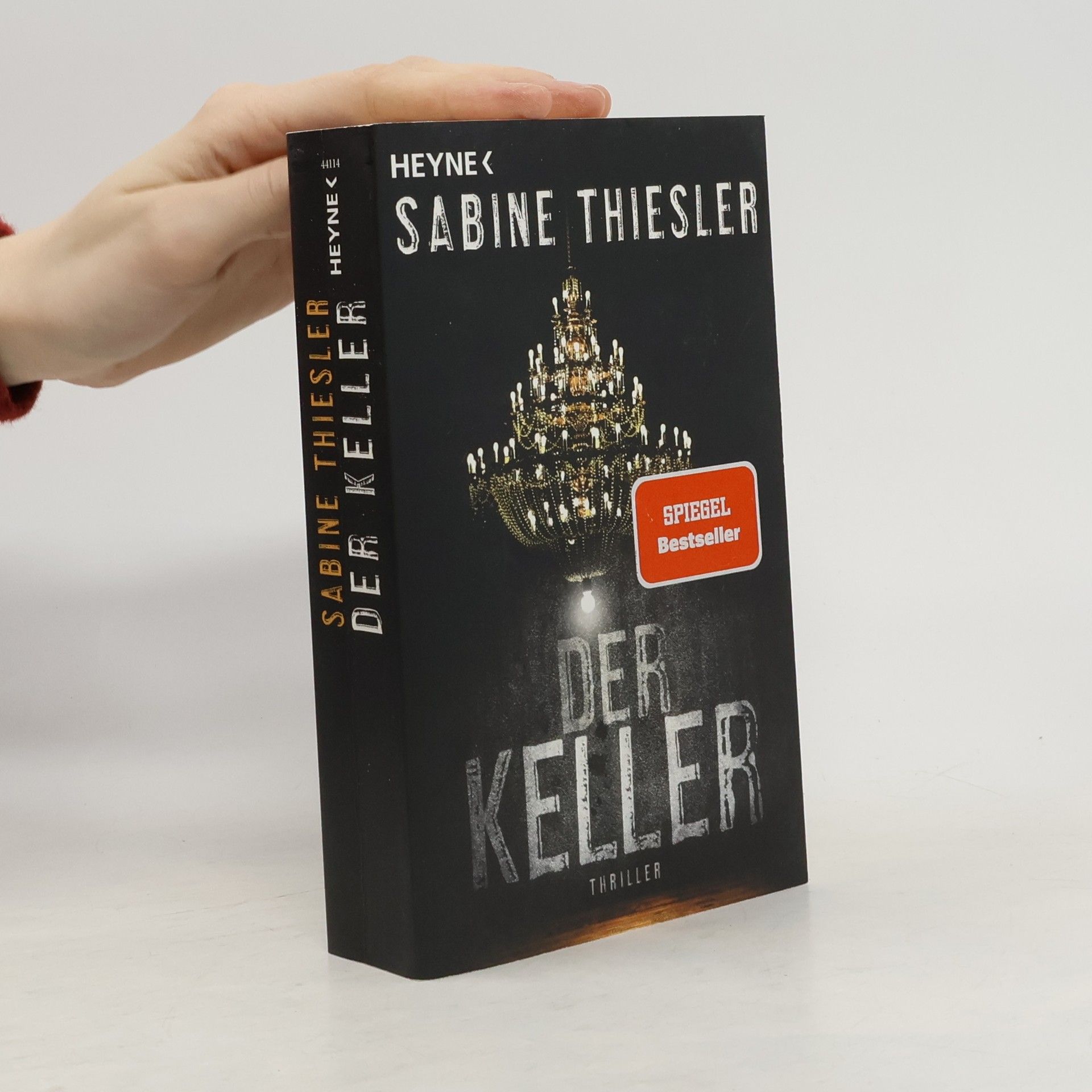 Sabine Thiesler Der Keller