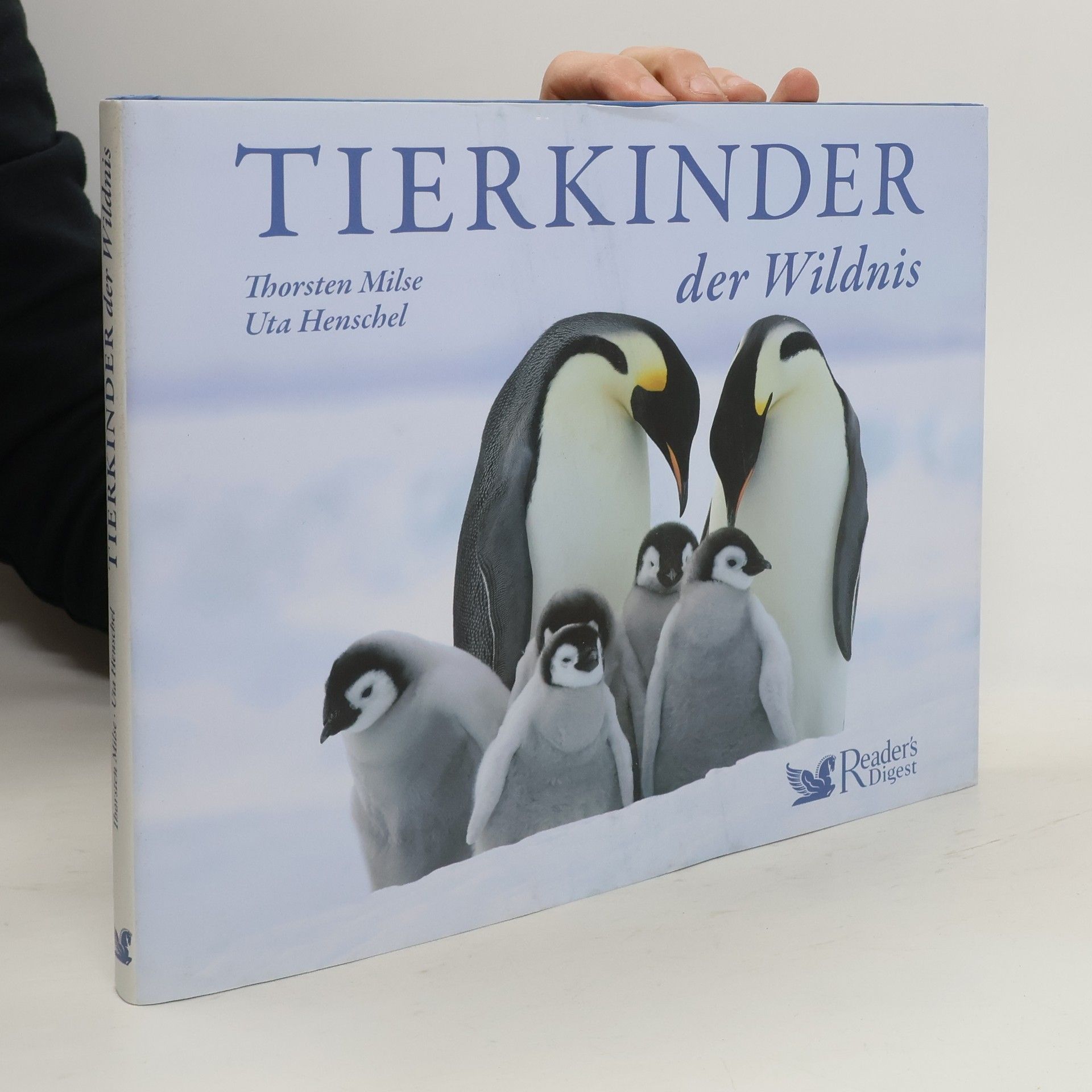 Tierkinder der Wildnis