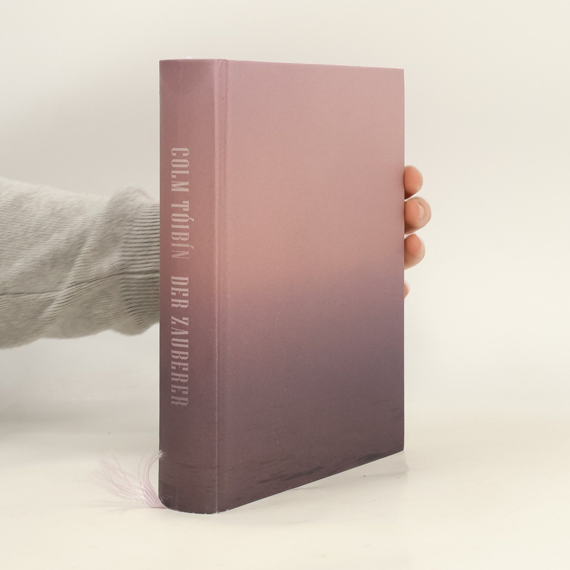 Colm Tóibín Der Zauberer