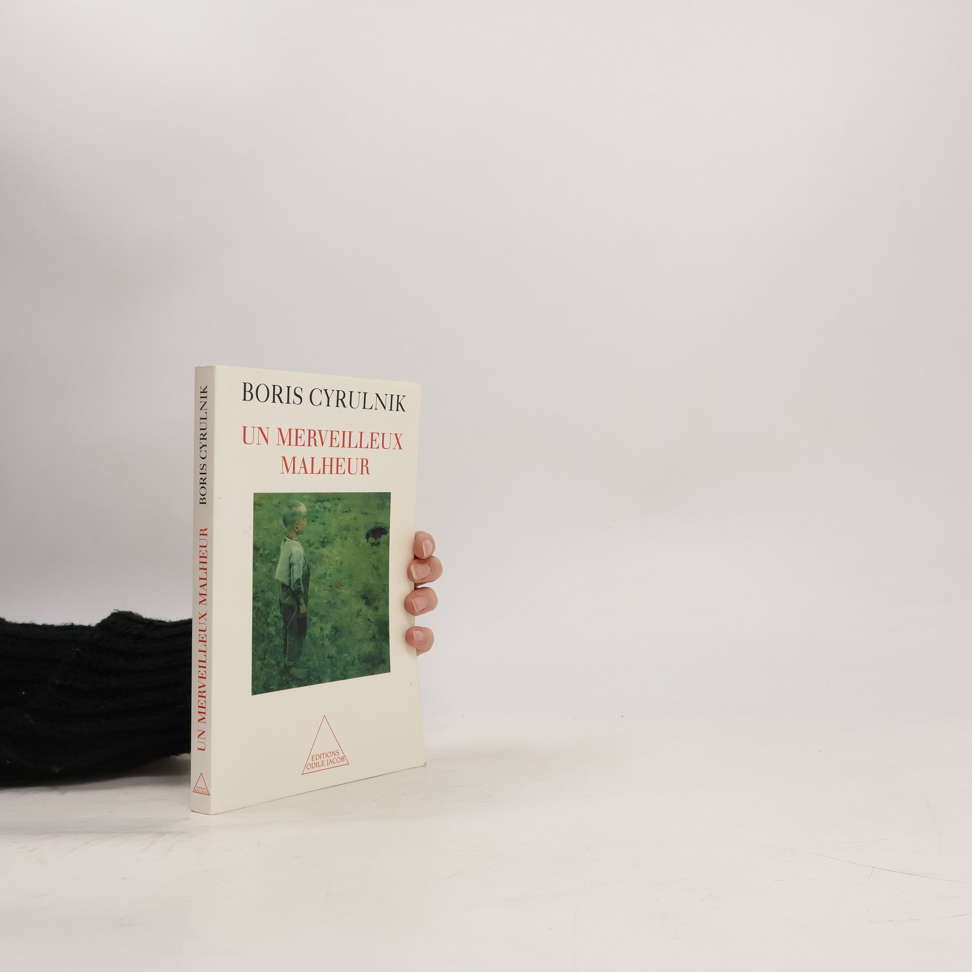 Boris Cyrulnik Un merveilleux malheur