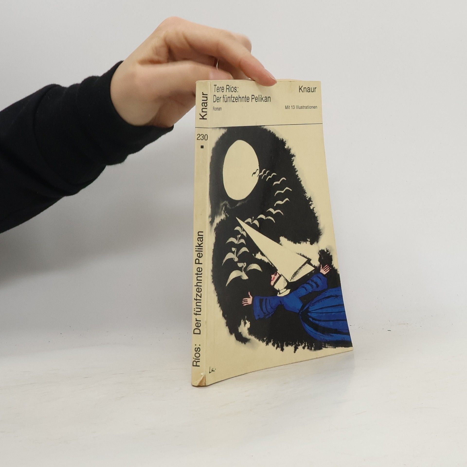 Tere Rios Der fünfzohnte Pelikan