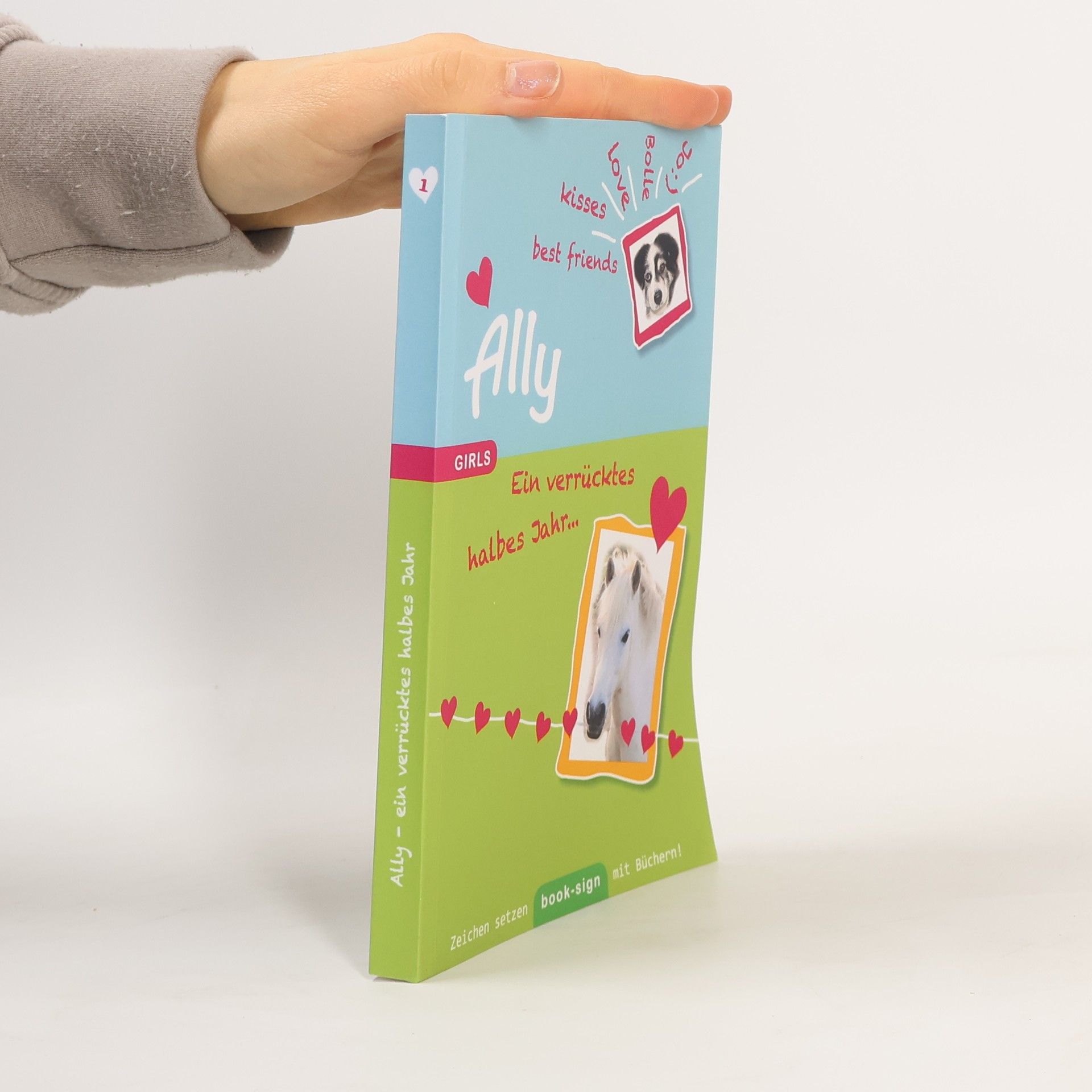 AA.VV. Ally 1. Ein verrücktes halbes Jahr