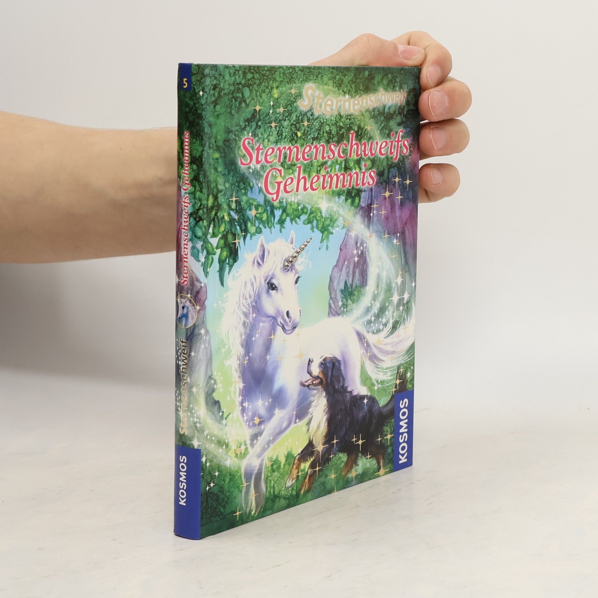 Linda Chapman Sternenschweifs Geheimnis 5