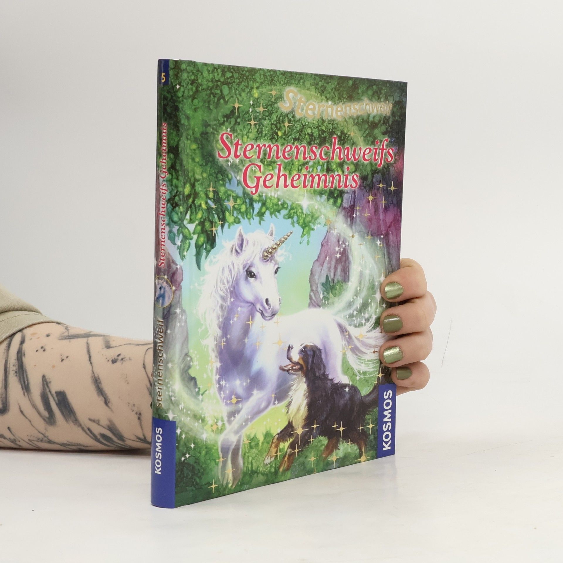 Linda Chapman Sternenschweifs Geheimnis 5