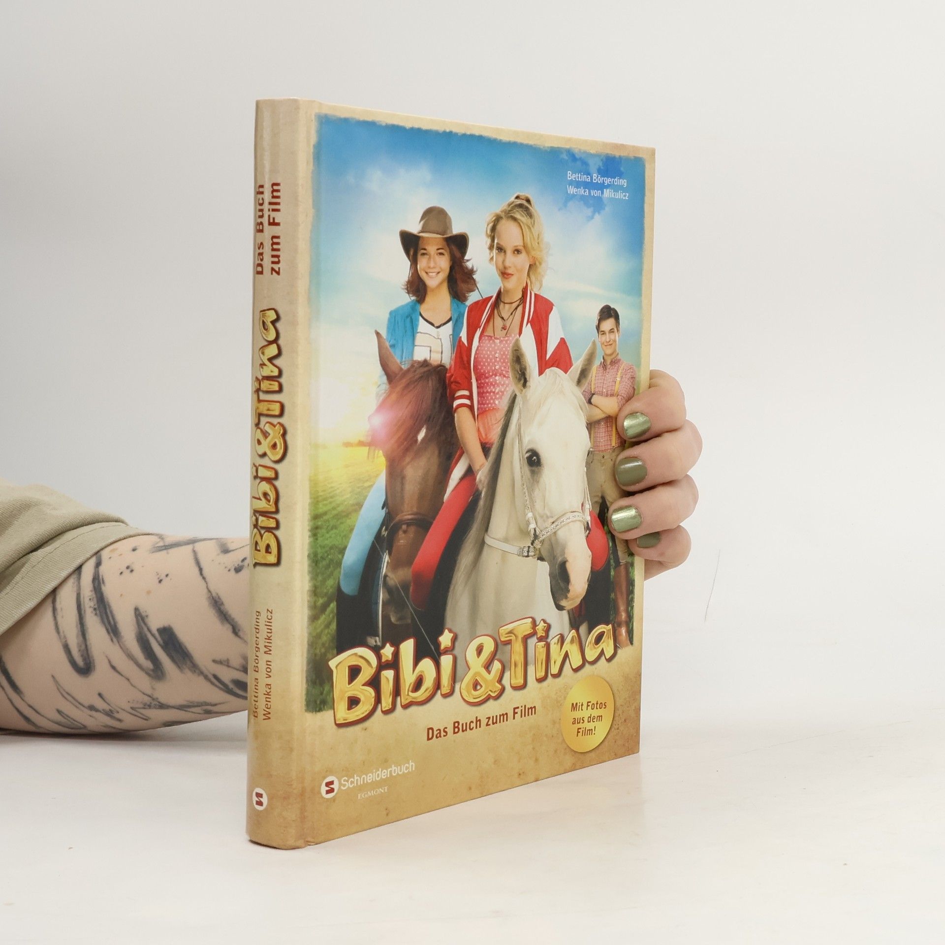 Bibi & Tina Das buch zum film