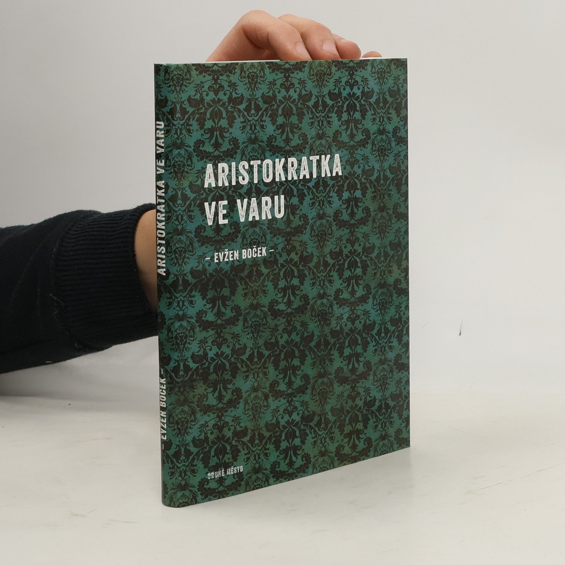 Evžen Boček Aristokratka ve varu