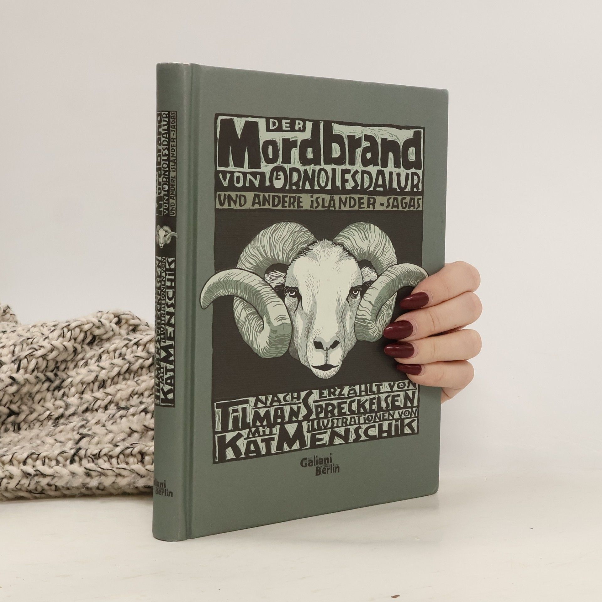 Der Mordbrand von Örnolfsdalur und andere Isländer-Sagas