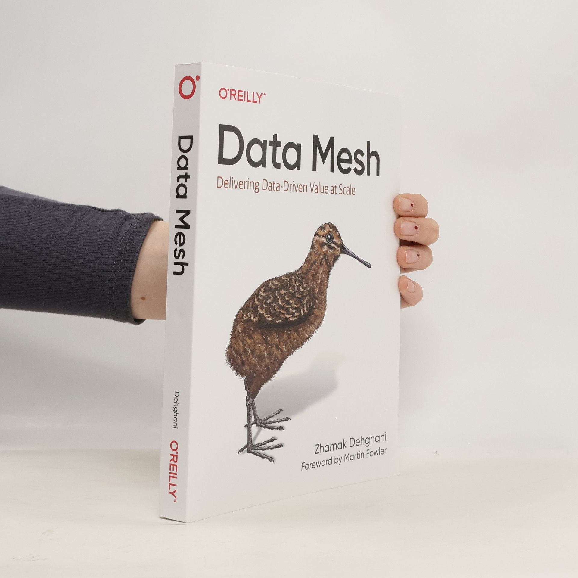 Zhamak Dehghani Data Mesh