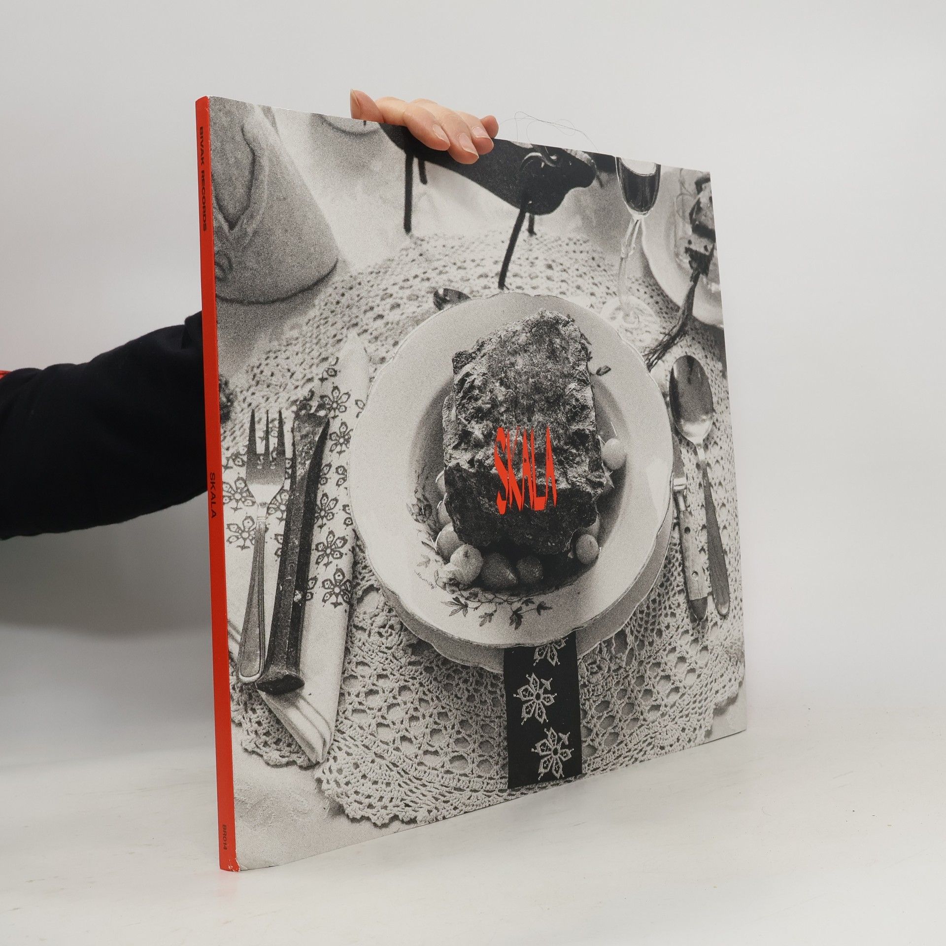 Kolektiv autorů Skala