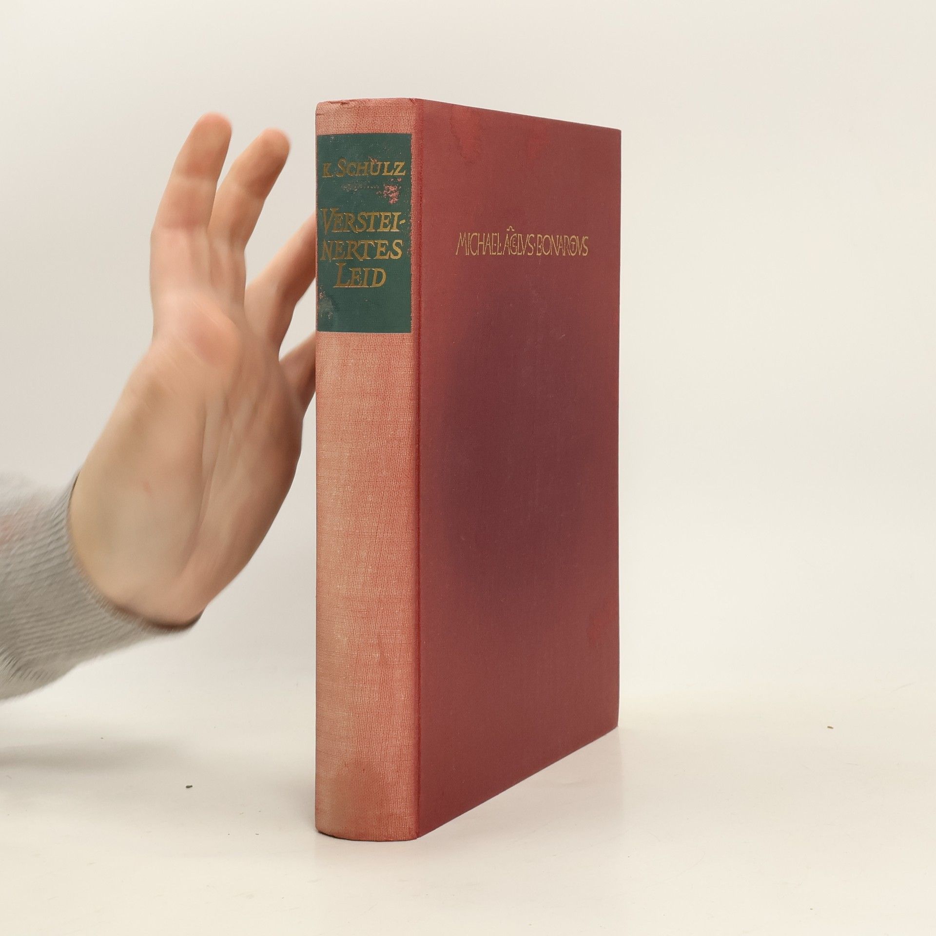 Versteinertes Leid. Ein Michelangelo