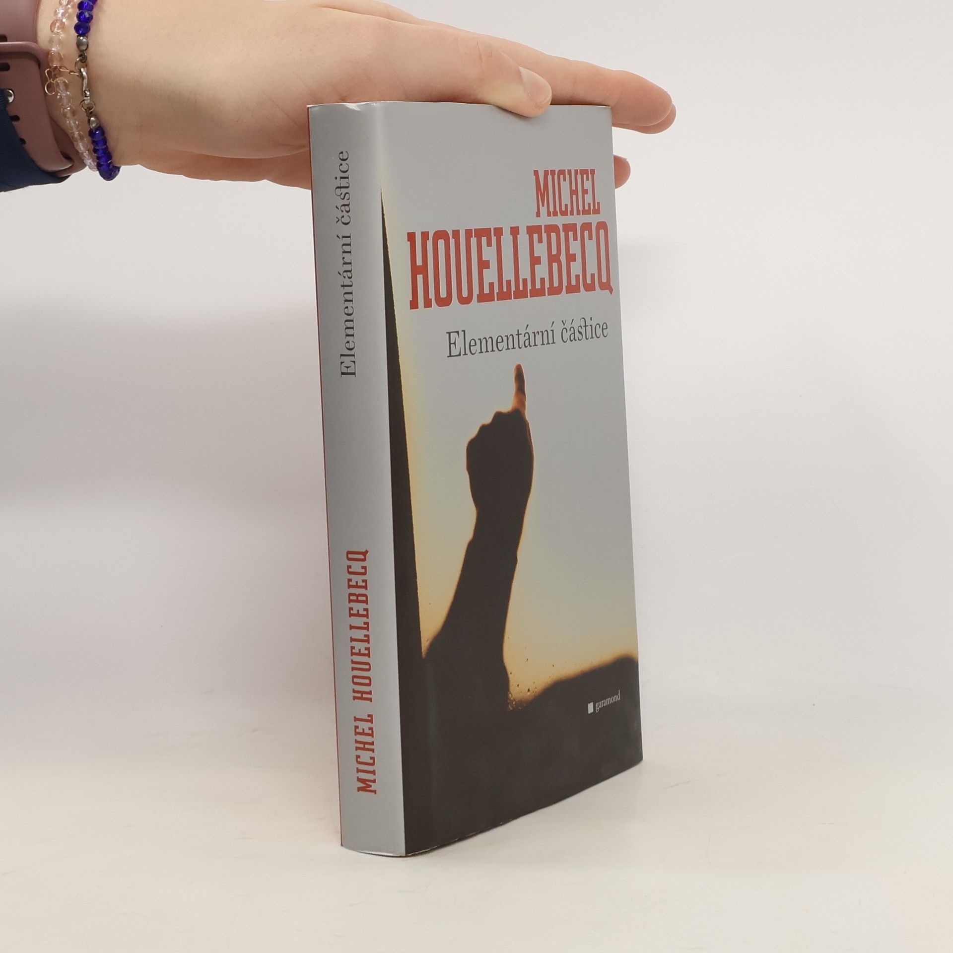 Michel Houellebecq Elementární částice