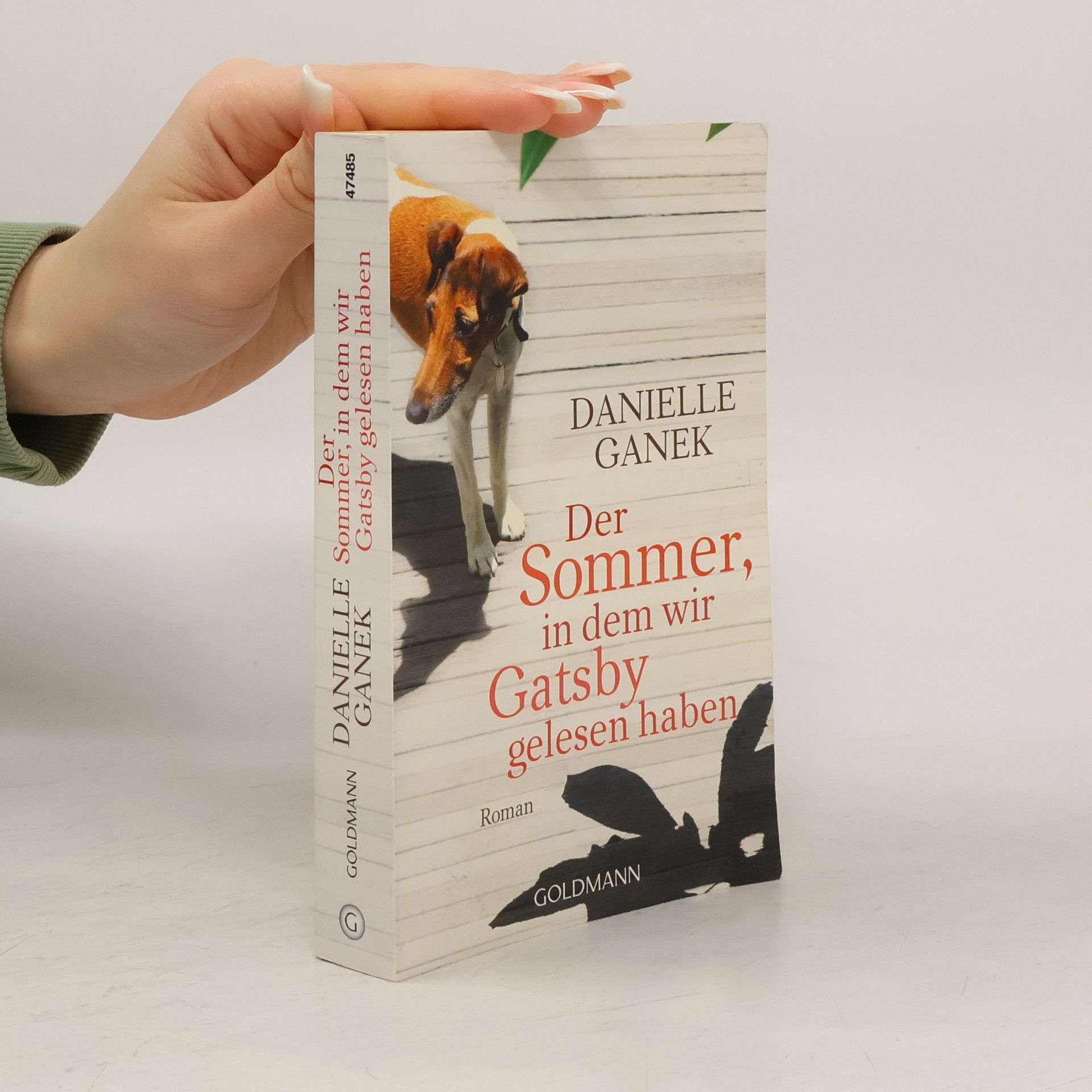 Danielle Ganek Der Sommer, in dem wir Gatsby gelesen haben