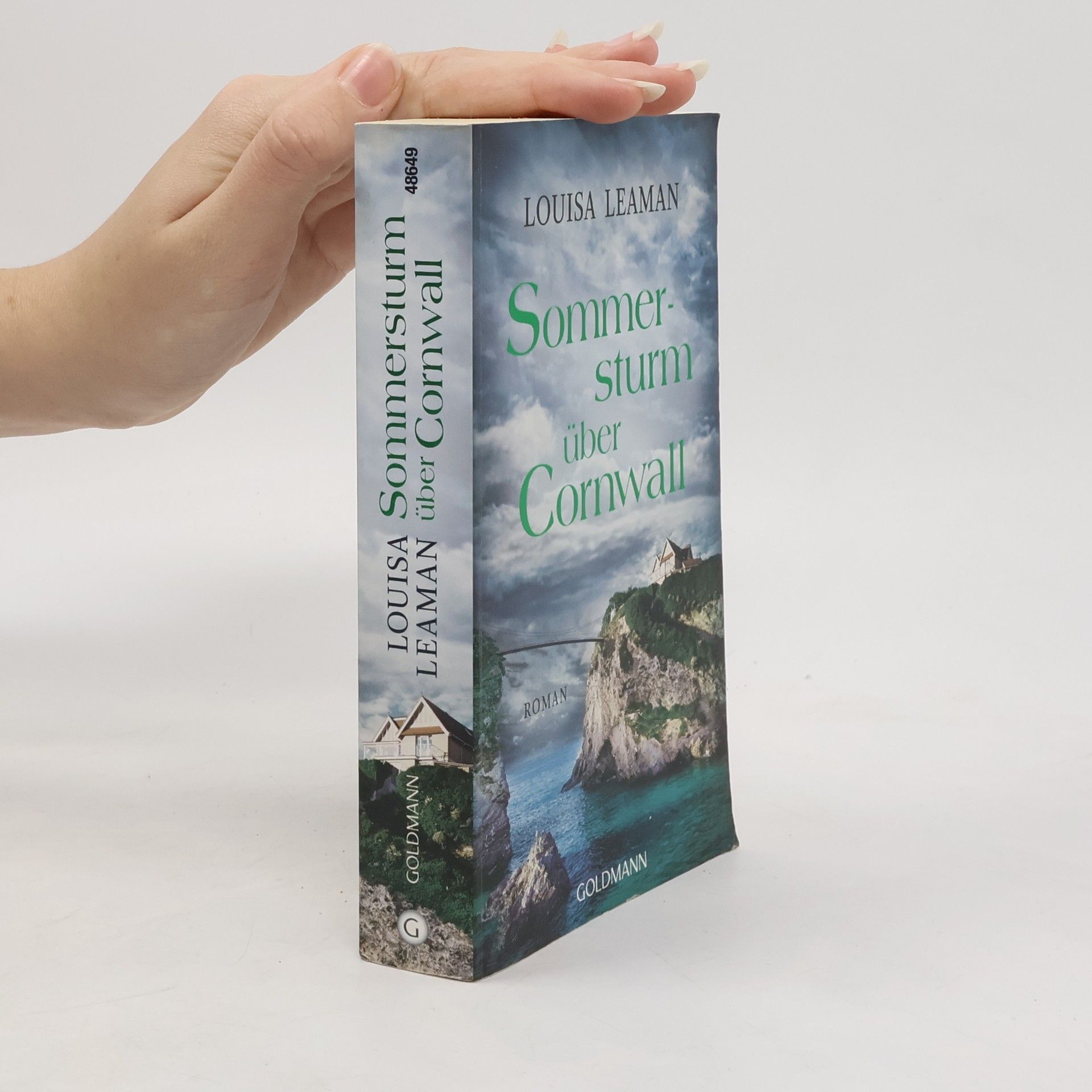 Louisa Leaman Sommersturm über Cornwall