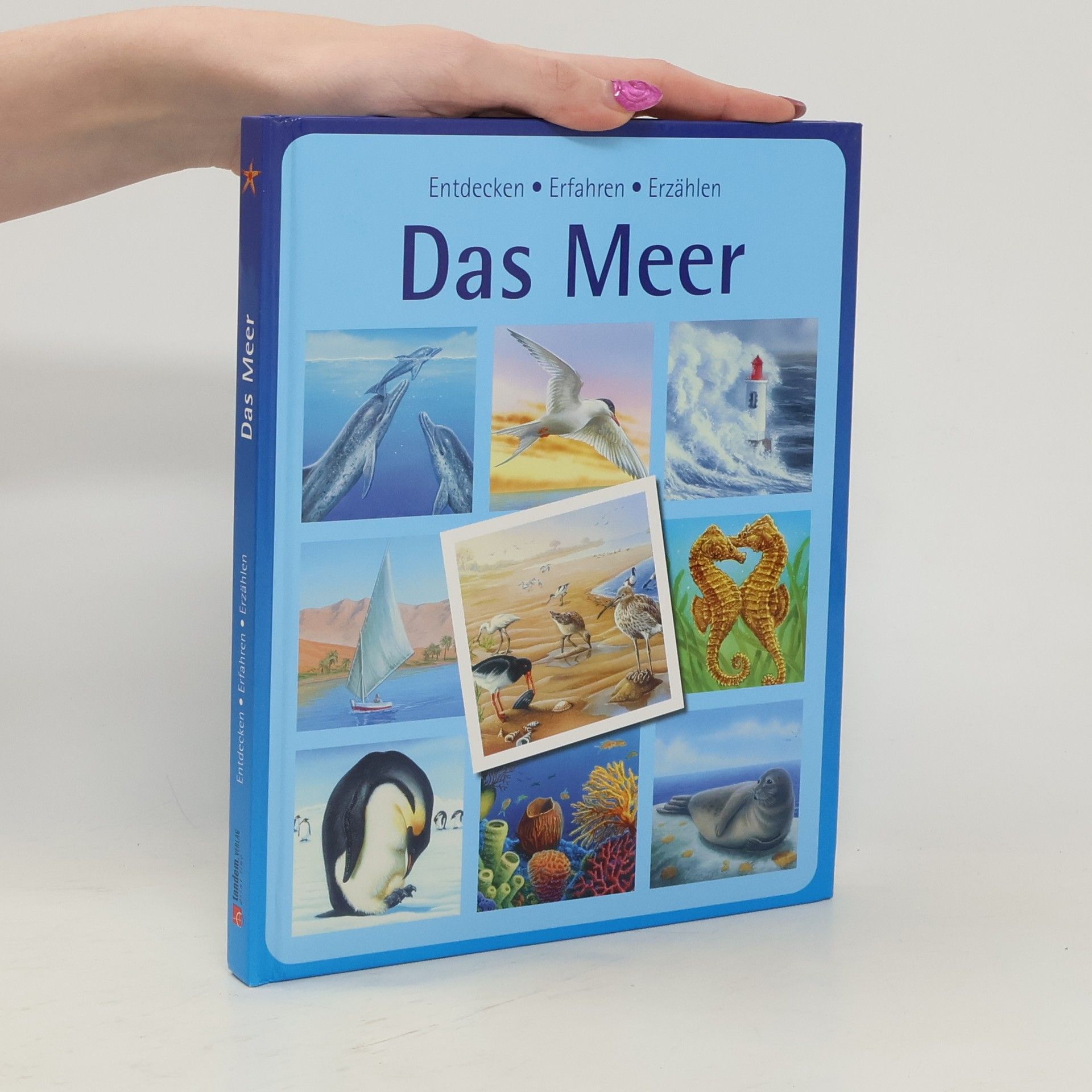 Collectif d'auteurs Das Meer