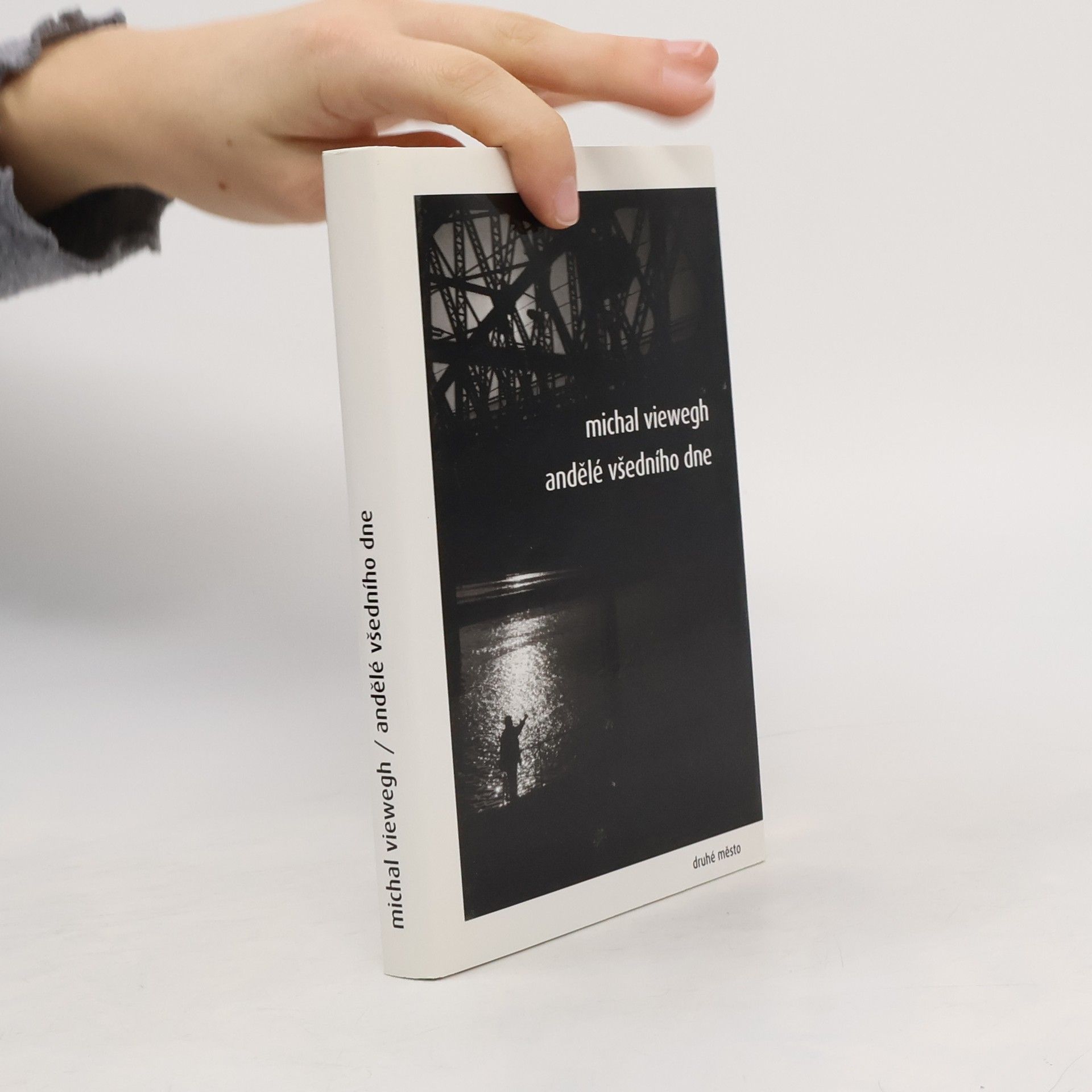 Michal Viewegh Andělé všedního dne