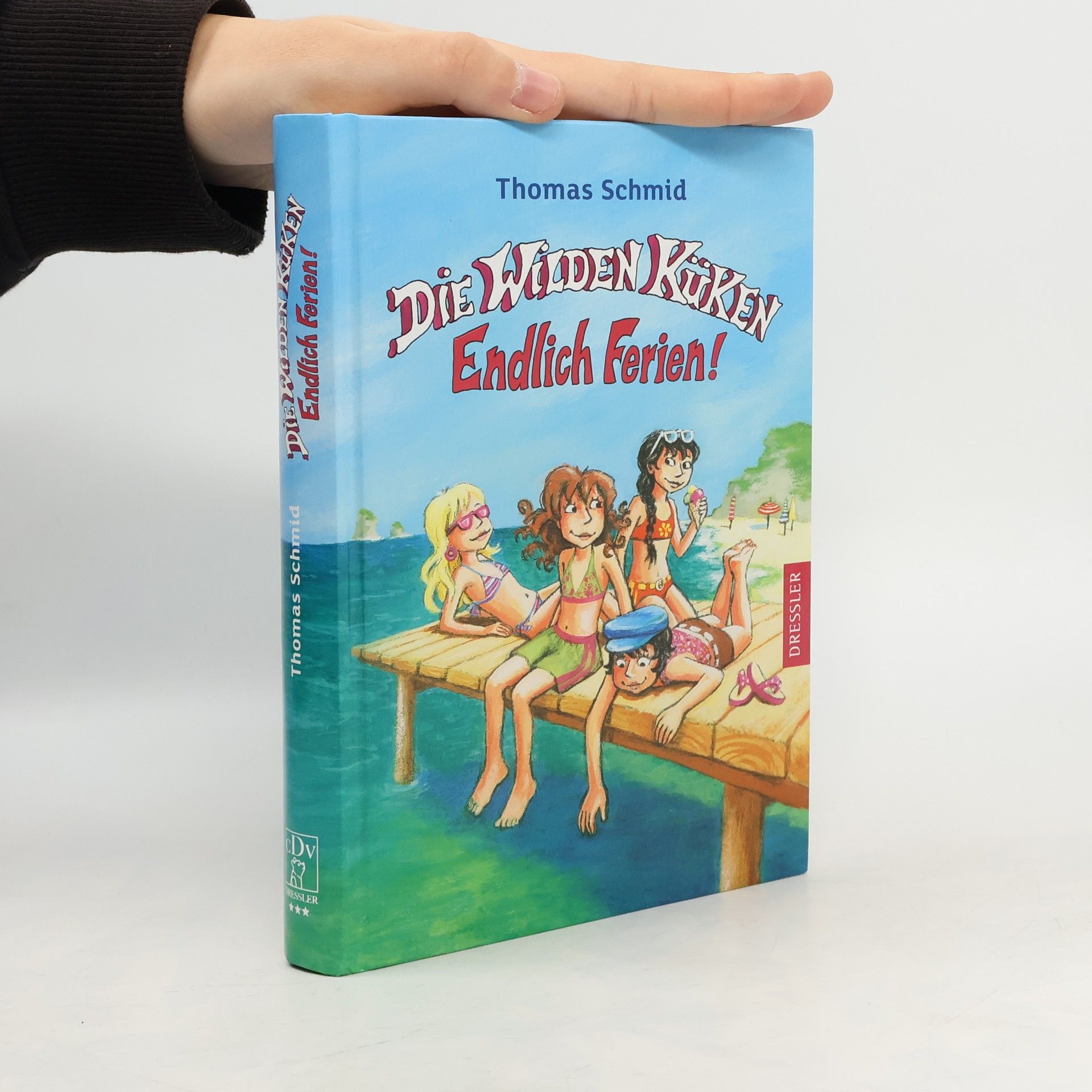 Thomas Schmid Die Wilden Kürken: Endlich Ferien!