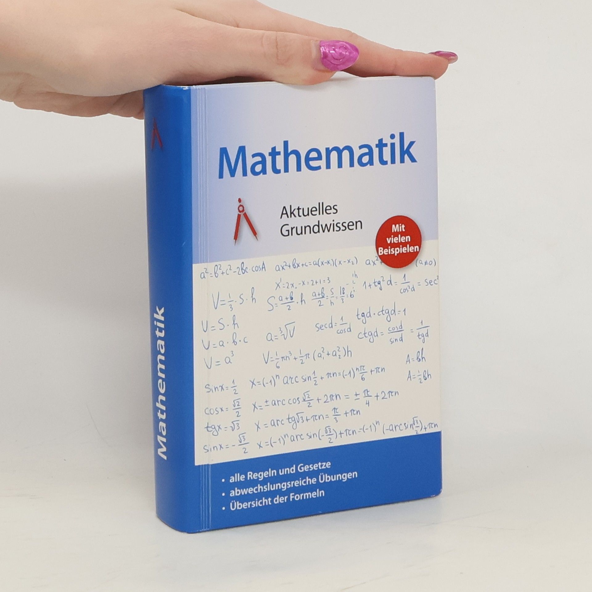 Kolektiv autorů Mathematik. Aktuelles Grundwissen