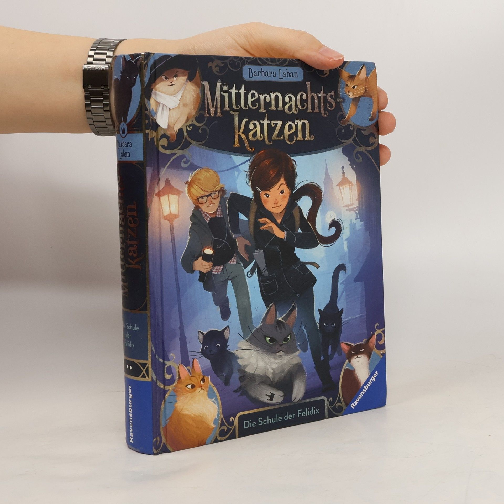 Die Schule der Felidix