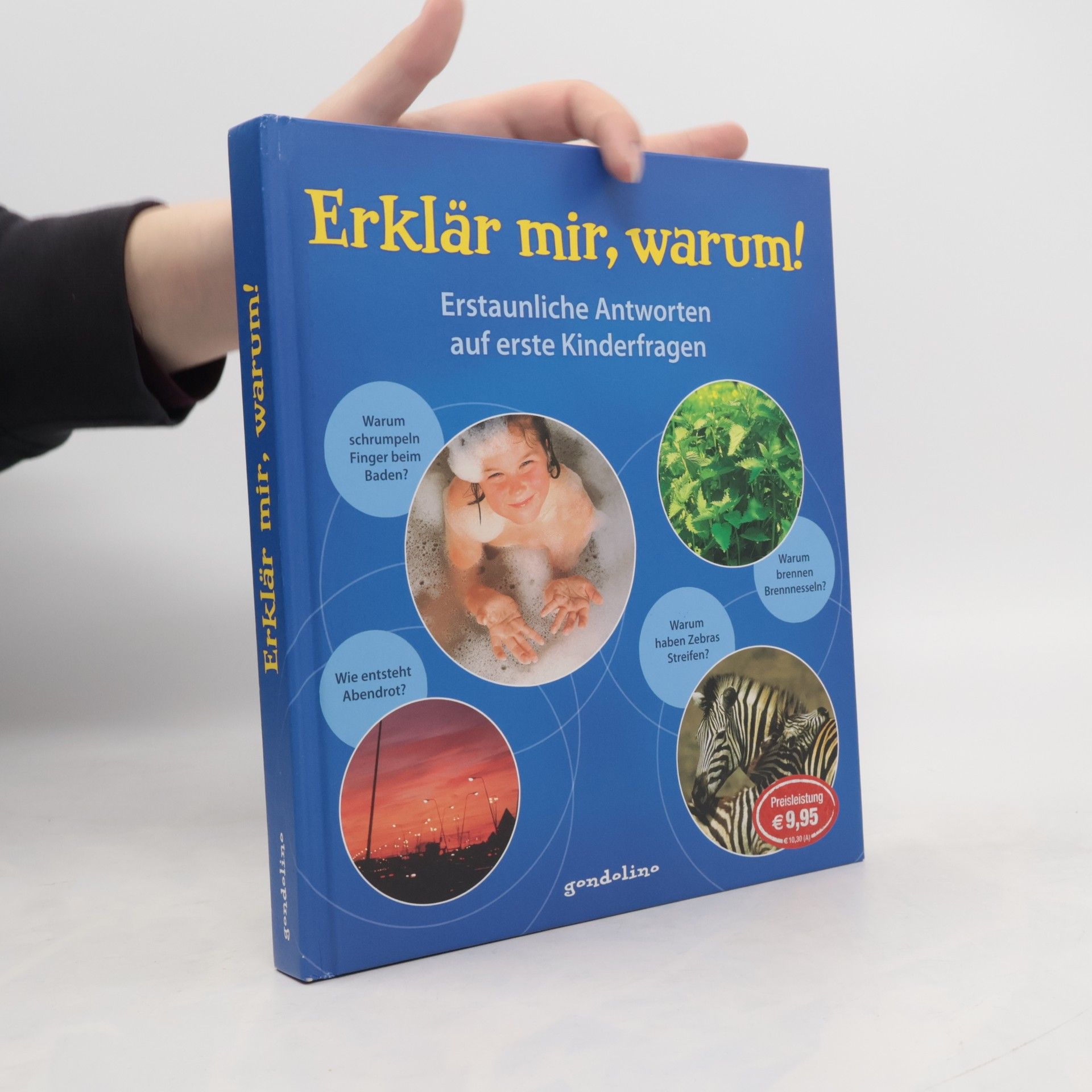 Detlef Kersten Erklär mir, warum!