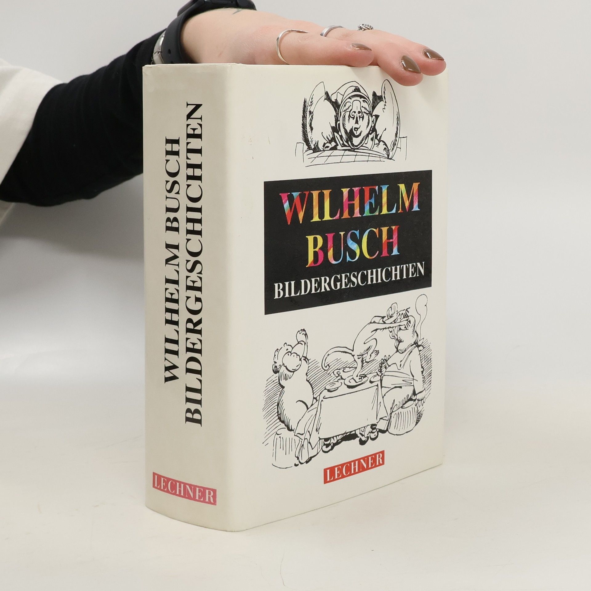 Wilhelm Busch Bildergeschichten