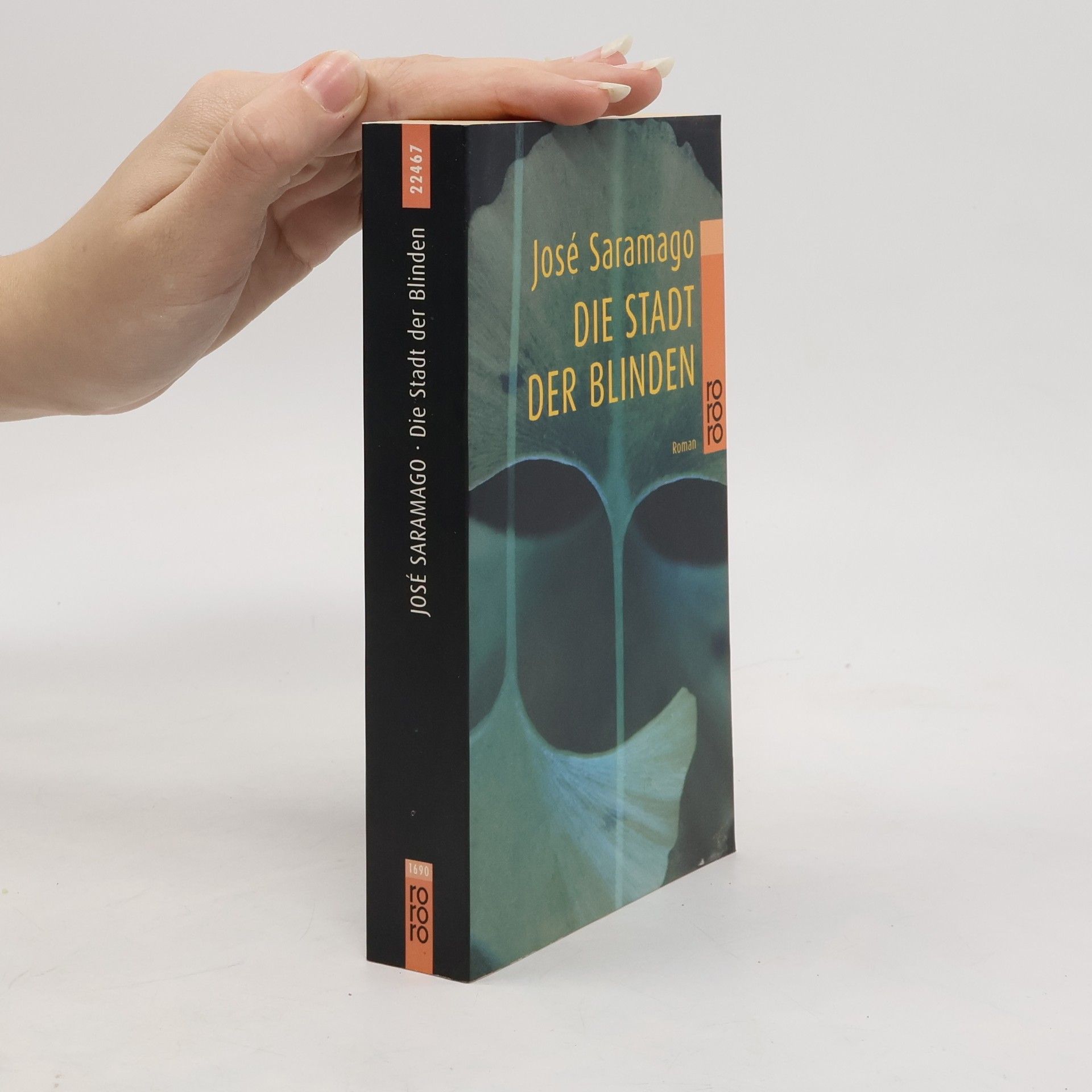 José Saramago Die Stadt der Blinden