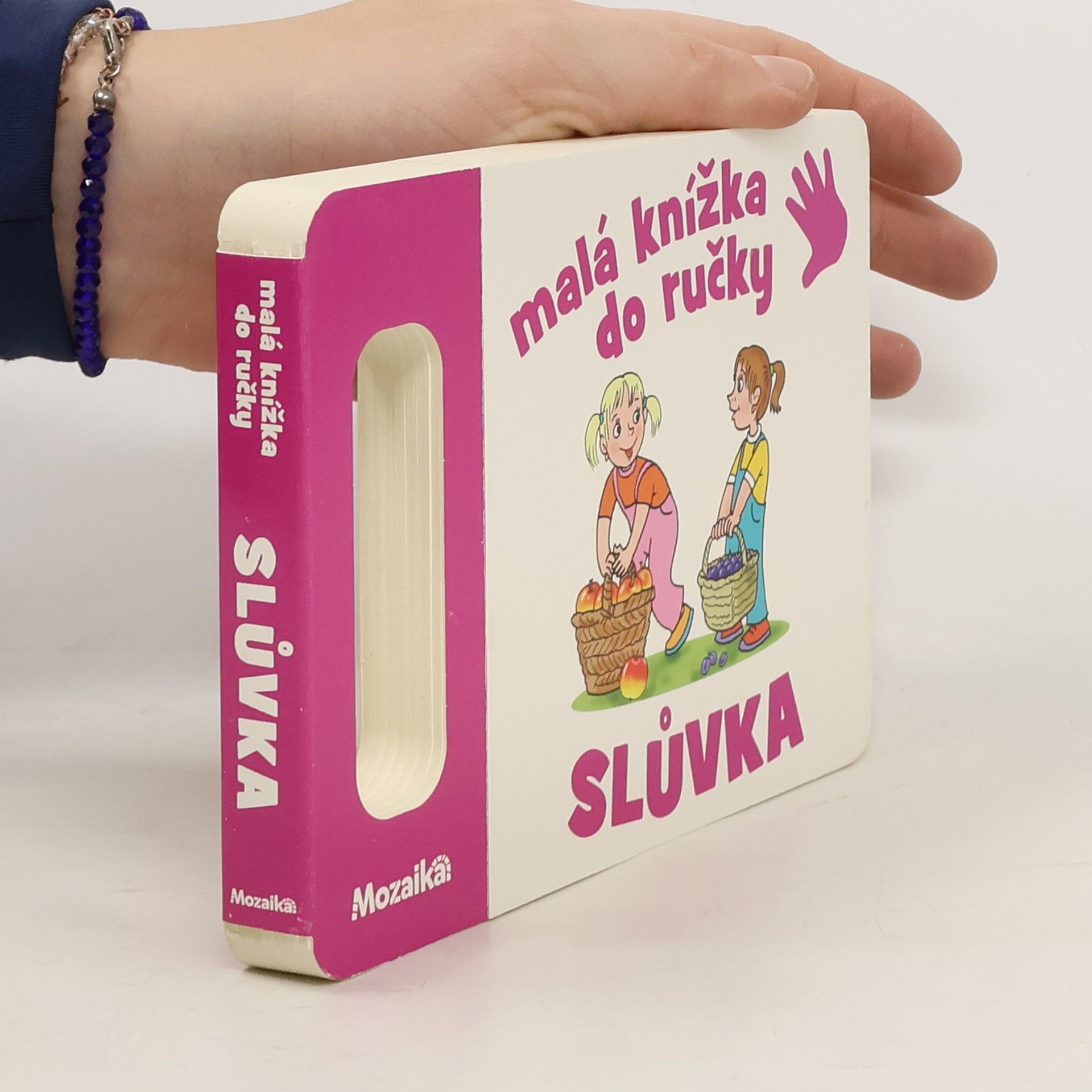 Antonín Šplíchal Malá knížka do ručky. Slůvka