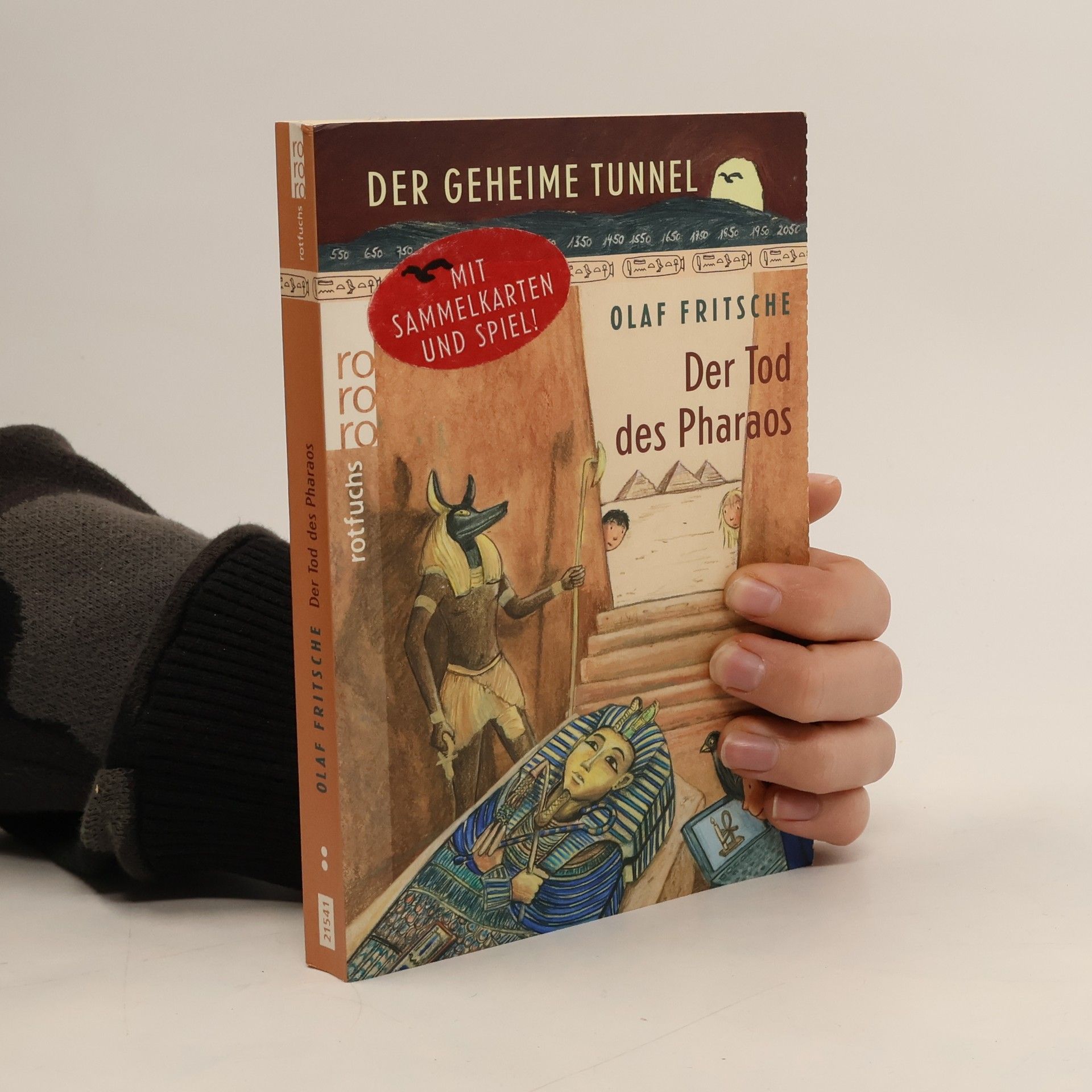 Olaf Fritsche Der geheime Tunnel