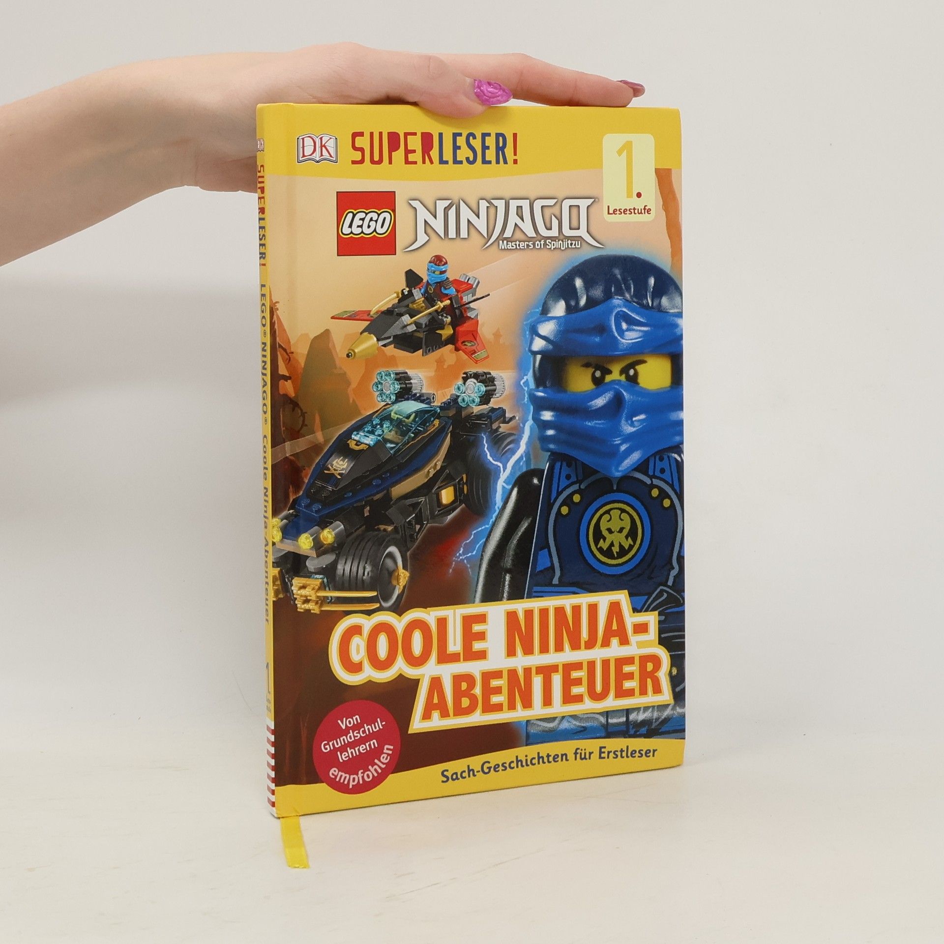 Lego Ninjago: Coole Ninja-Abenteuer