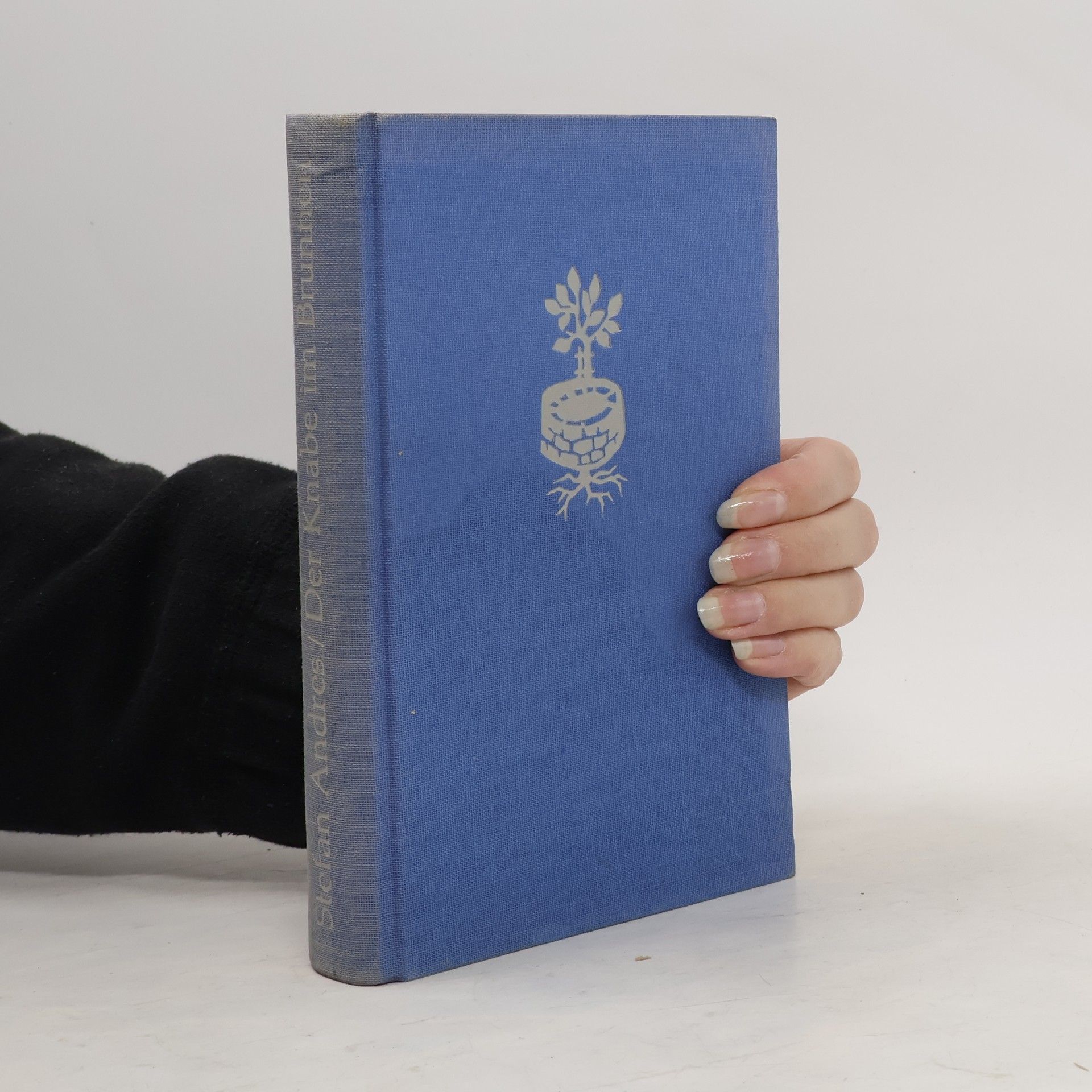 Der Knabe im Brunnen