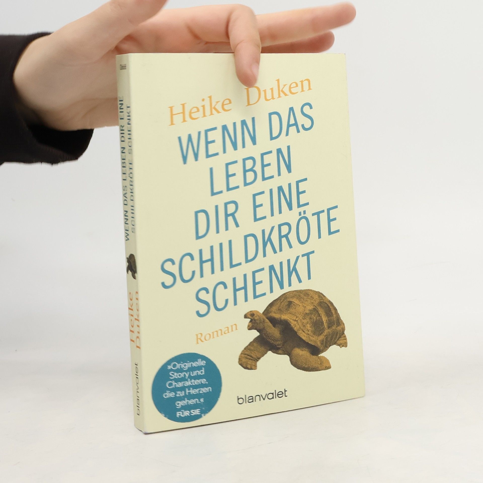 Heike Duken Wenn das Leben dir eine Schildkröte schenkt