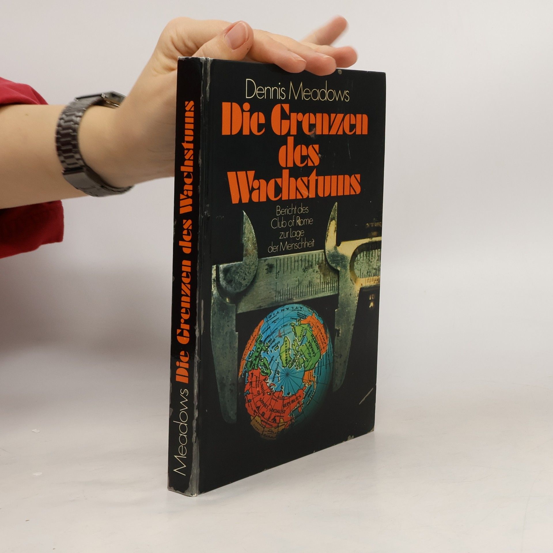 Die Grenzen des Wachstums