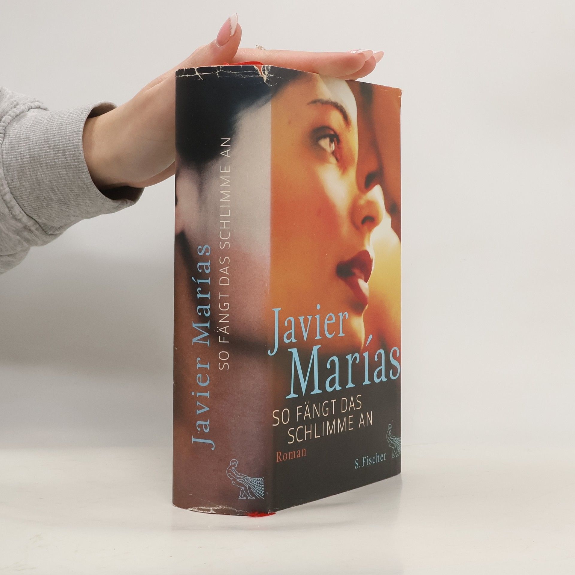 Javier Marías So fängt das Schlimme an