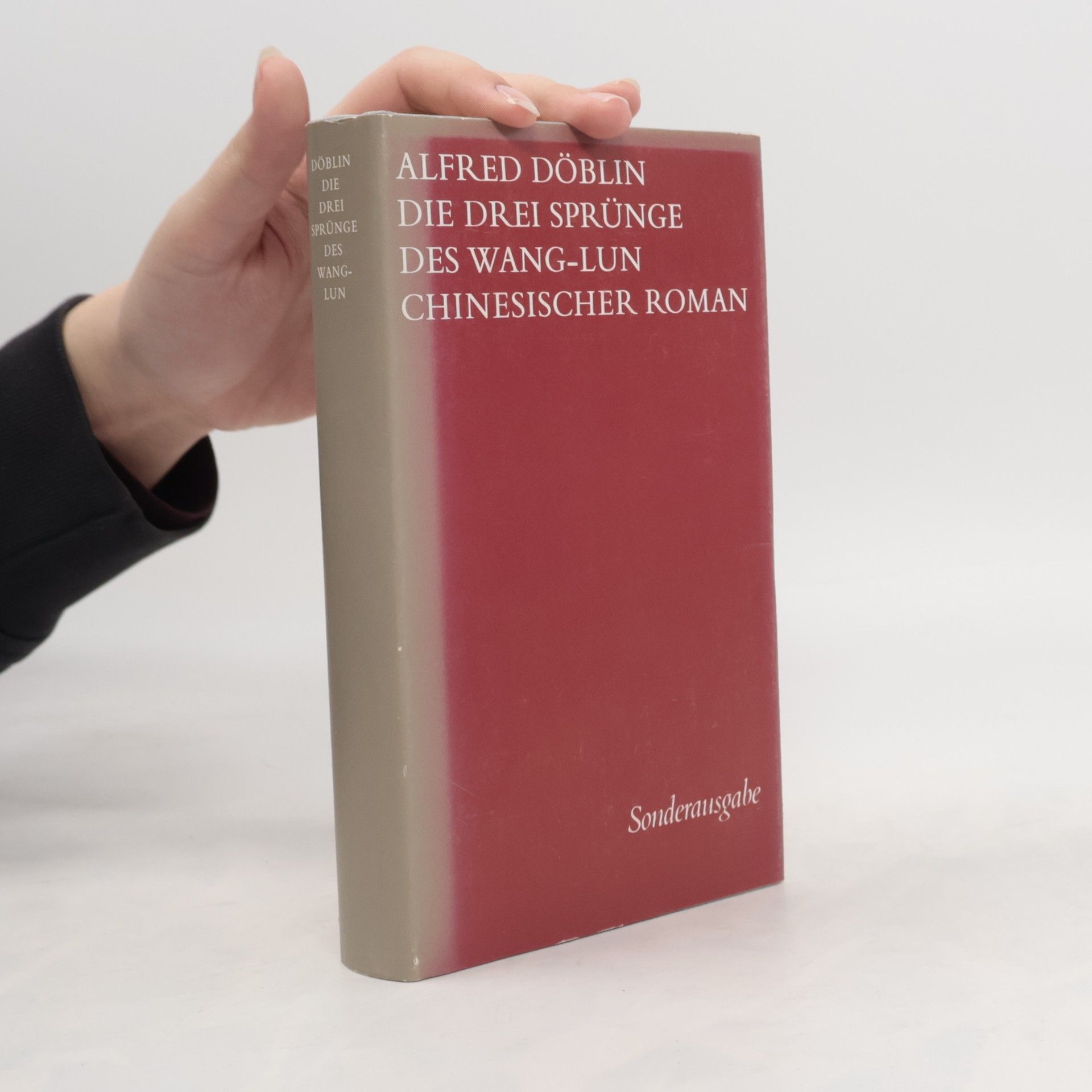 Alfred Döblin Die drei Sprünge des Wang-lun
