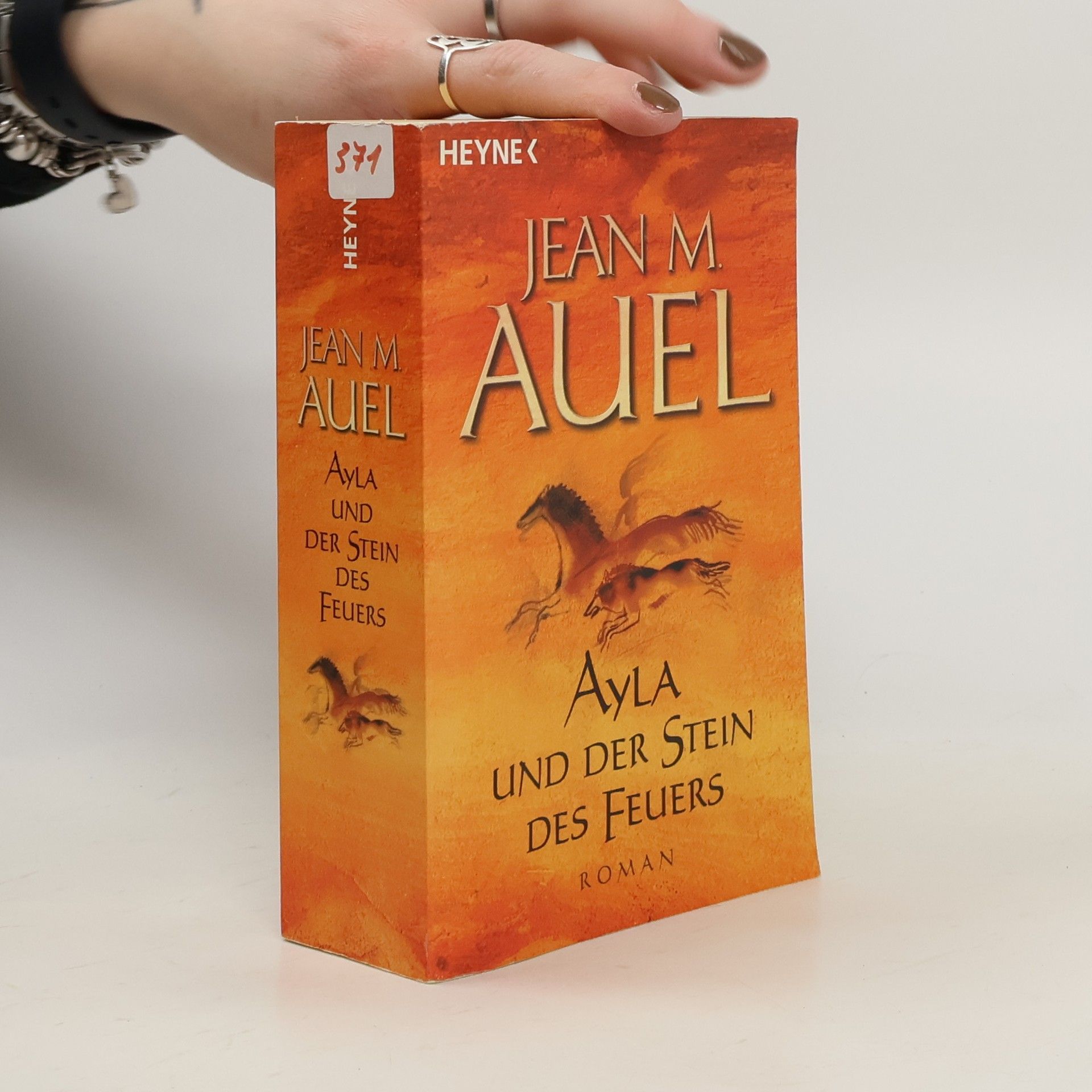 Ayla und der Stein des Feuers