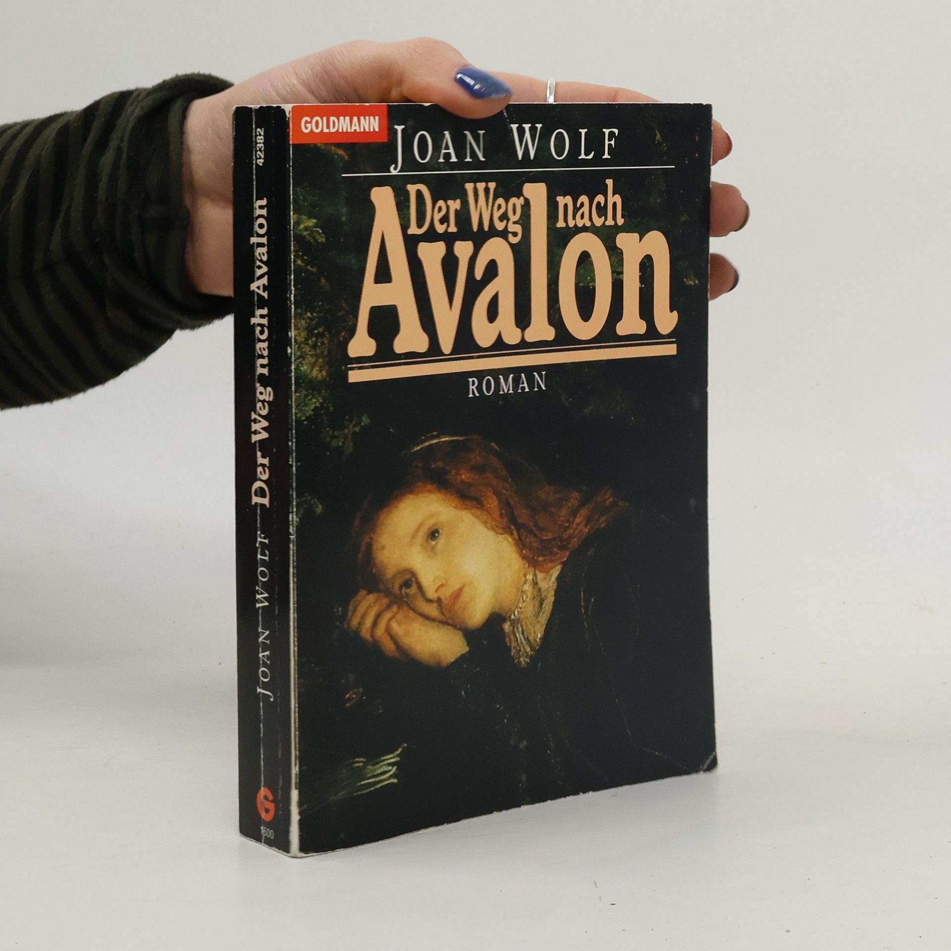 ... Joan Der Weg nach Avalon