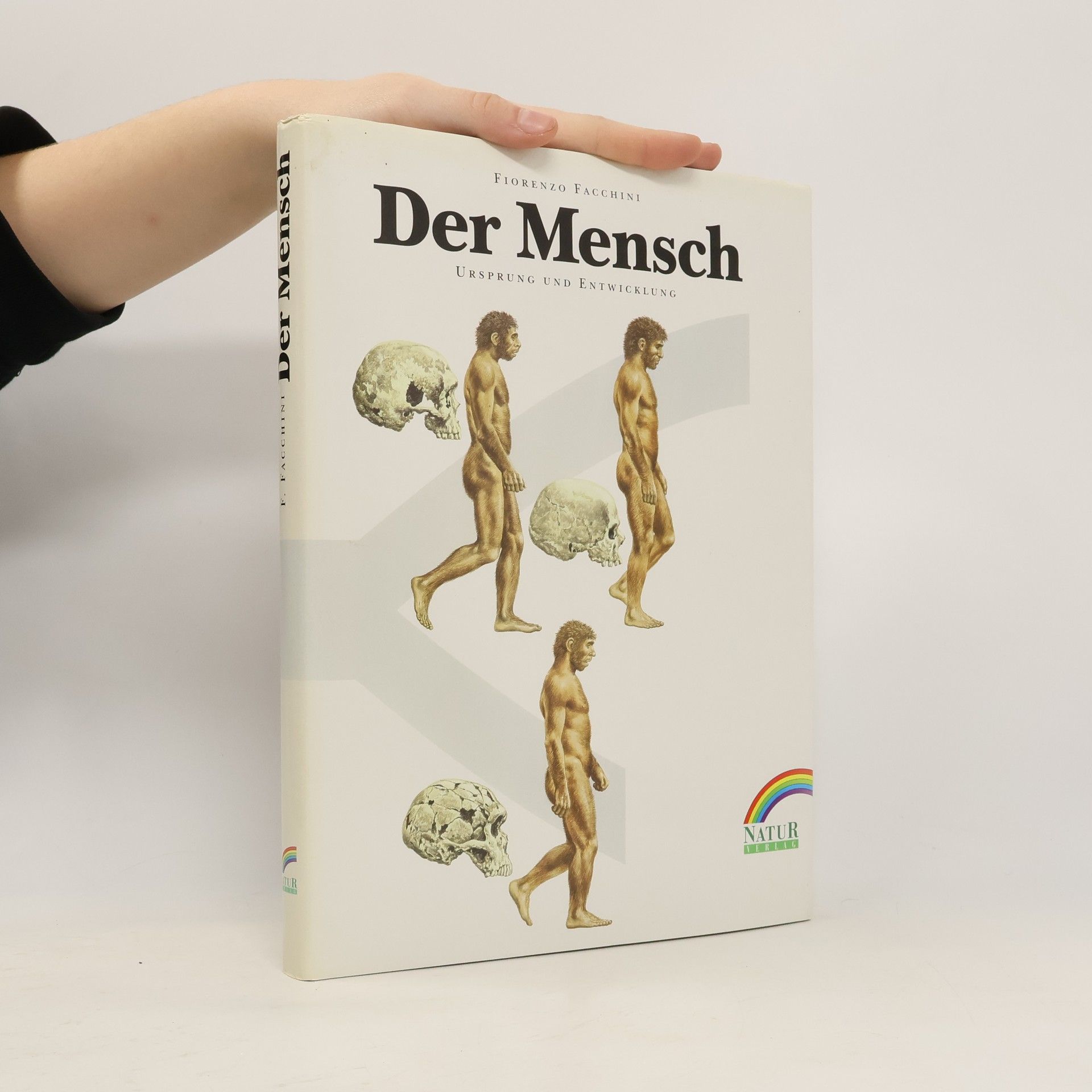 Fiorenzo Facchini Der Mensch