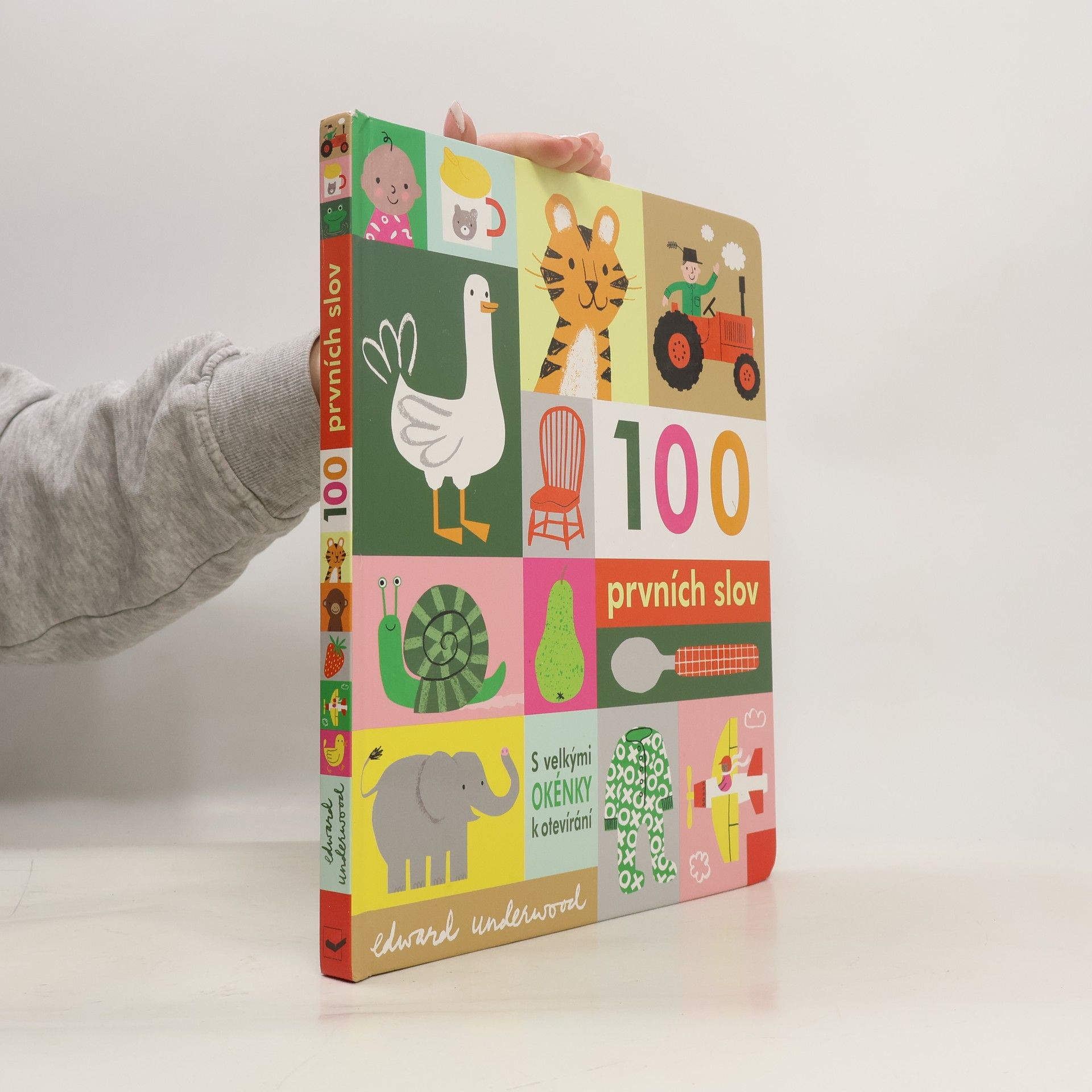 100 prvních slov